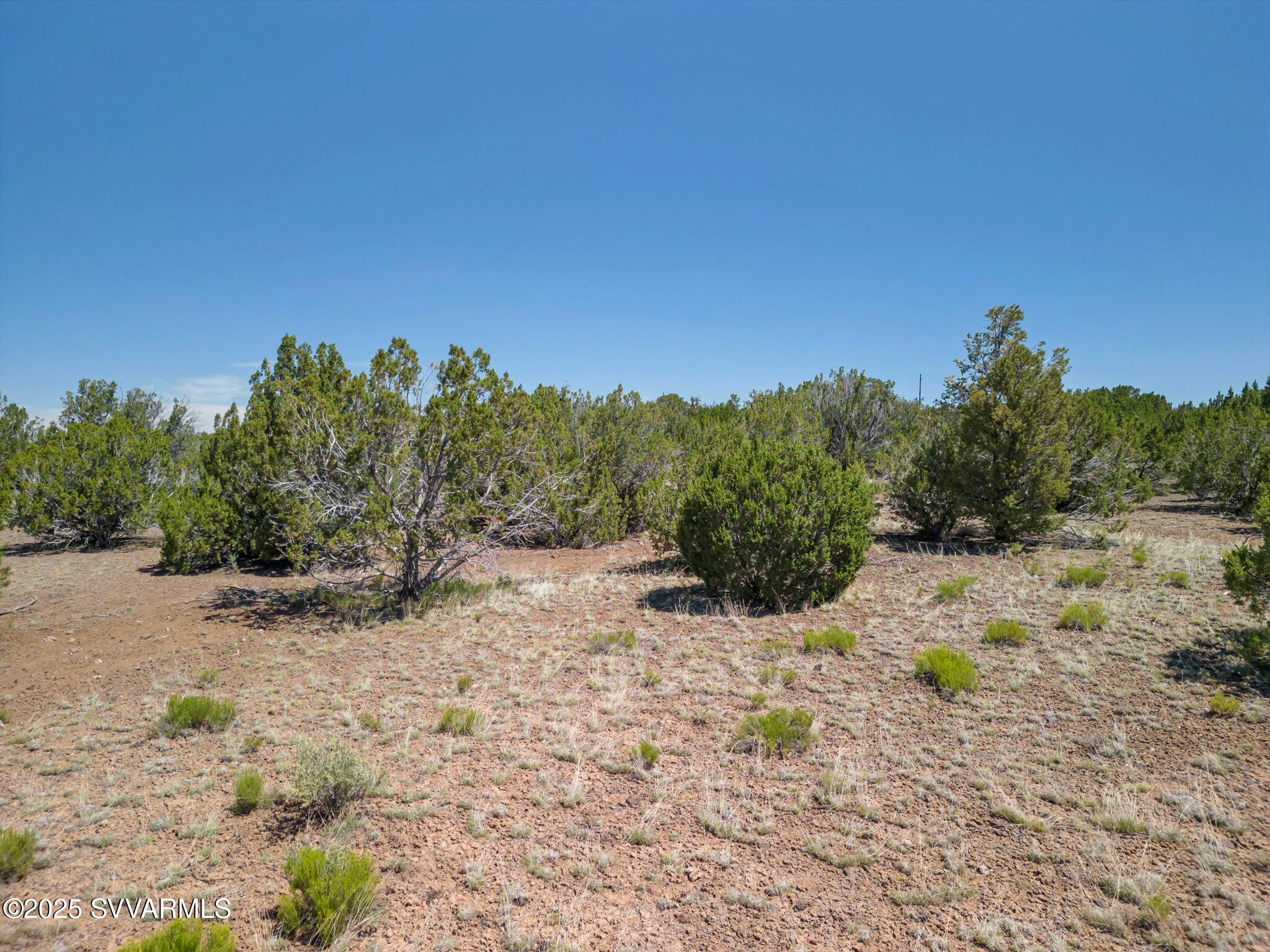 2179 West Critter Pass Road Williams, AZ 86046 - Photo 11 of 34 a view of a dry yard with trees