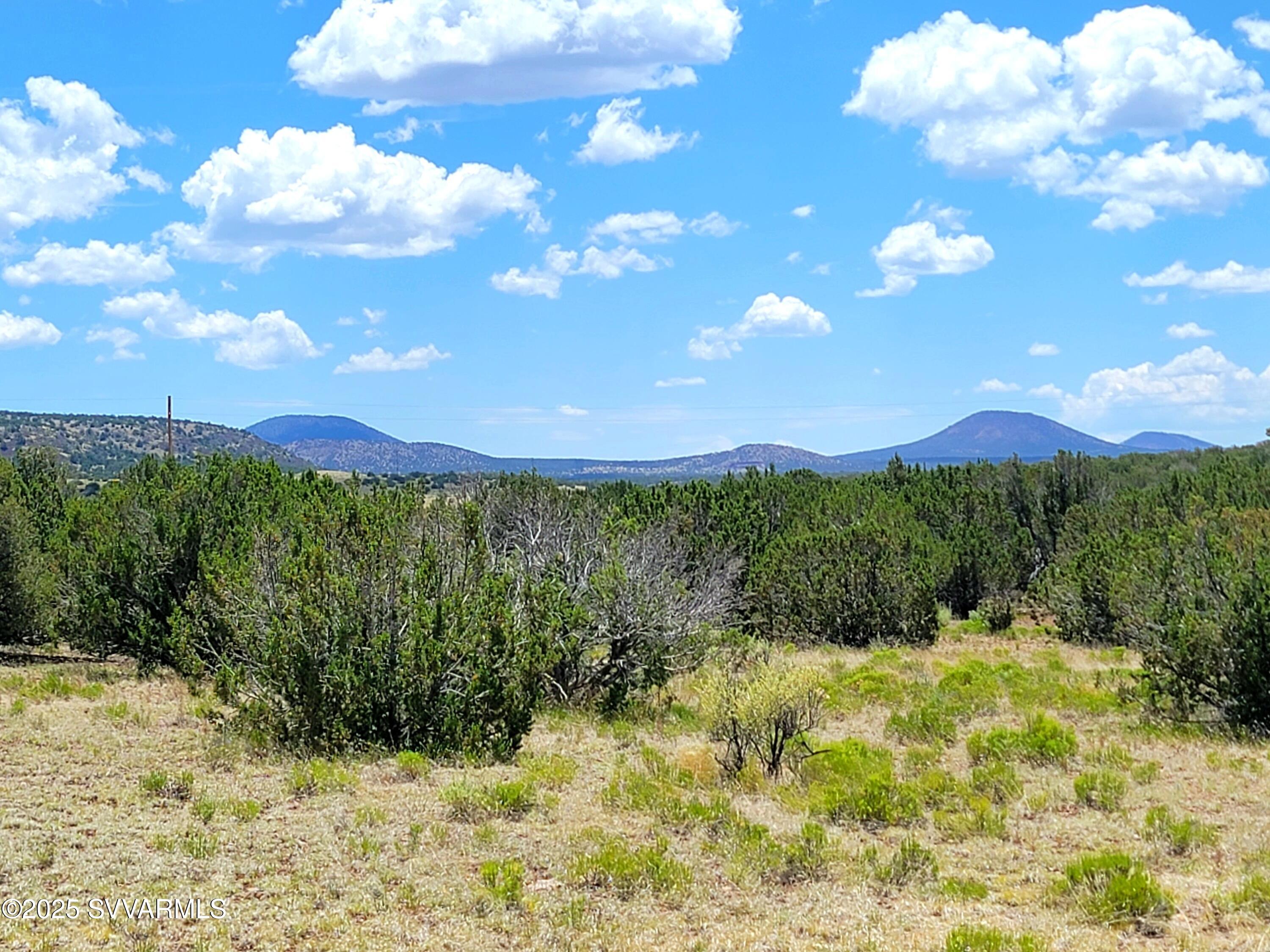 2179 West Critter Pass Road Williams, AZ 86046 - Photo 13 of 34 a view of a bunch of trees