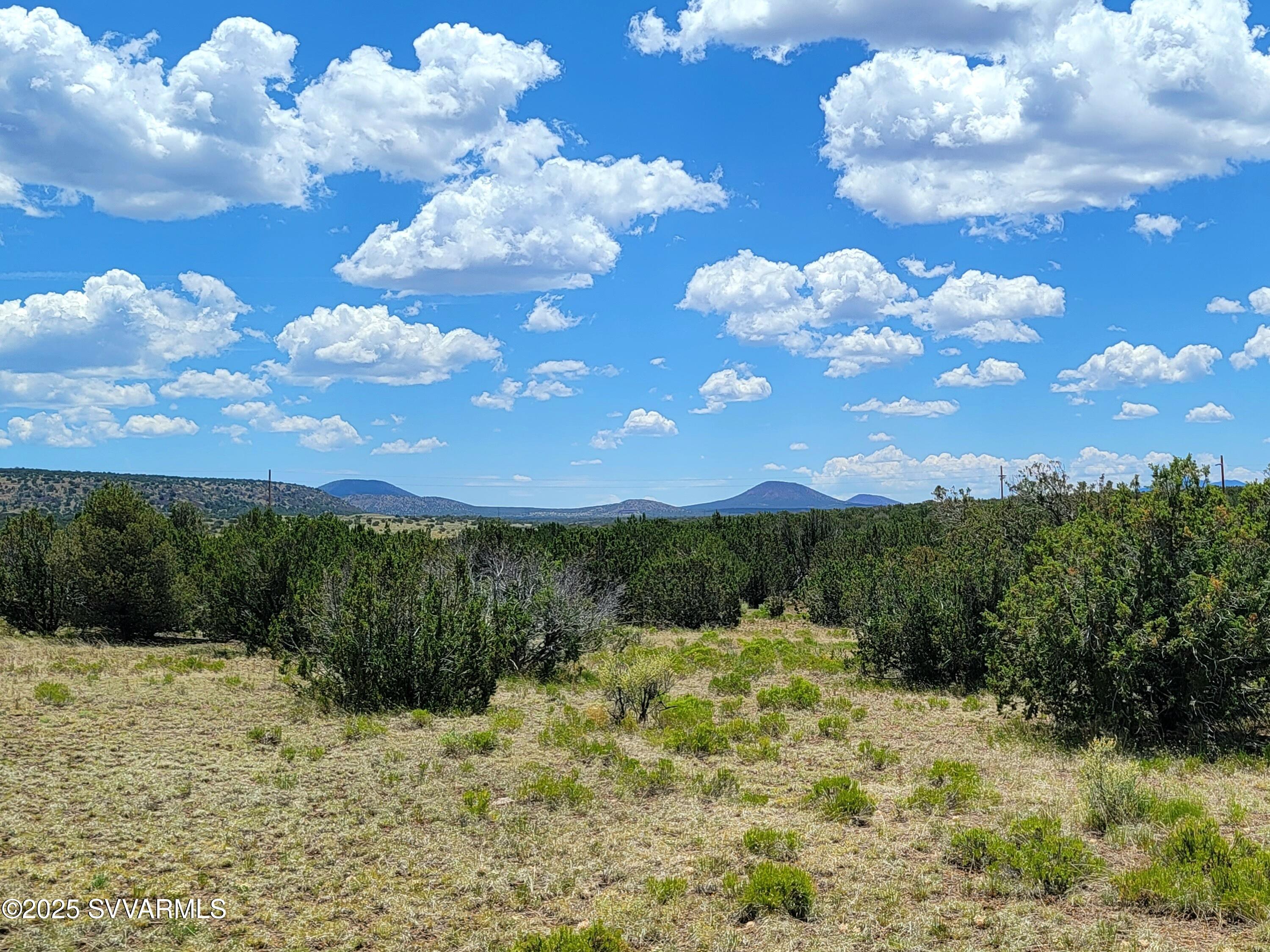 2179 West Critter Pass Road Williams, AZ 86046 - Photo 14 of 34 a view of a bunch of flowers in middle of the green field