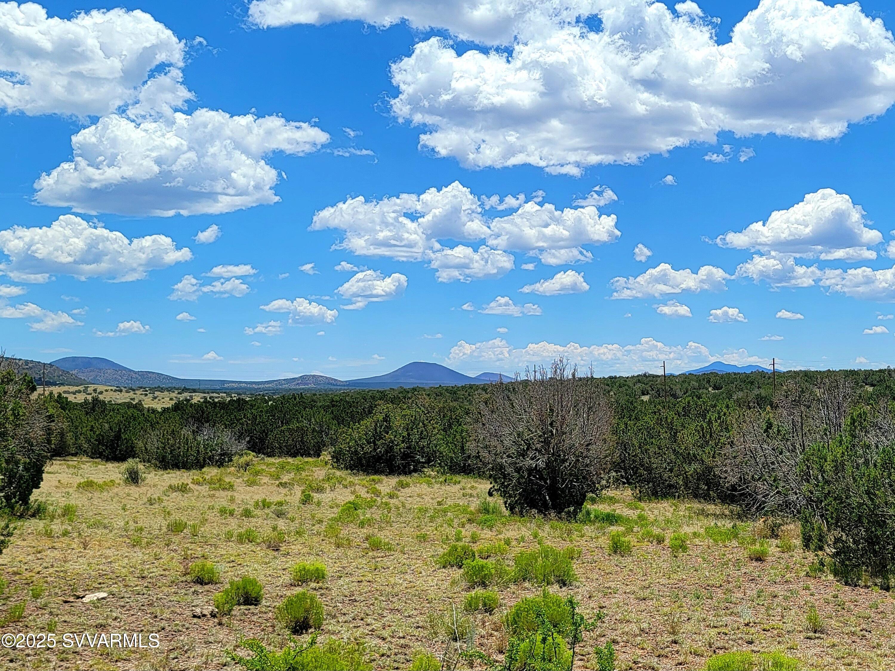 2179 West Critter Pass Road Williams, AZ 86046 - Photo 31 of 34 a view of a yard