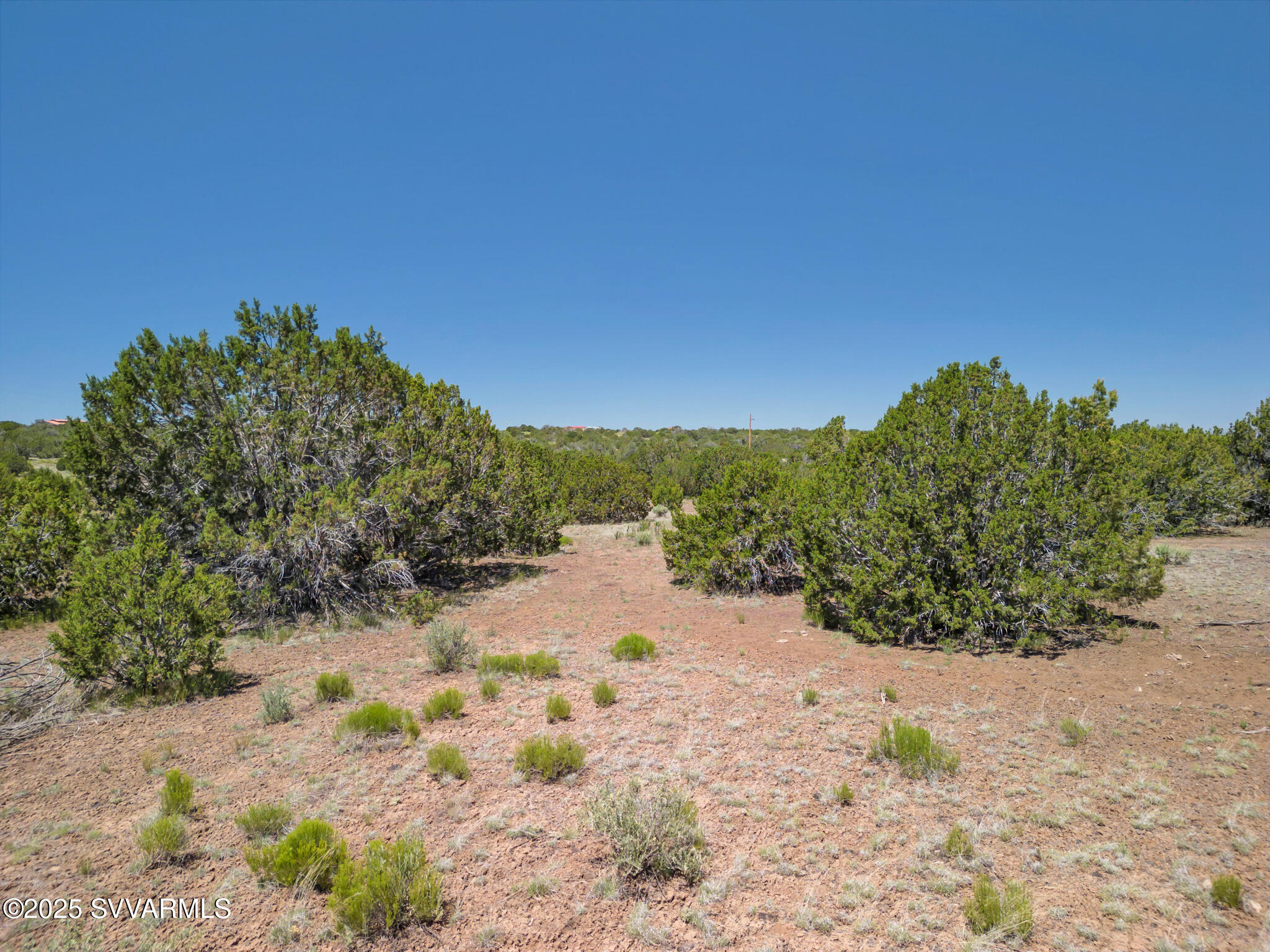 2179 West Critter Pass Road Williams, AZ 86046 - Photo 10 of 34 a view of a beach with a tree in the background