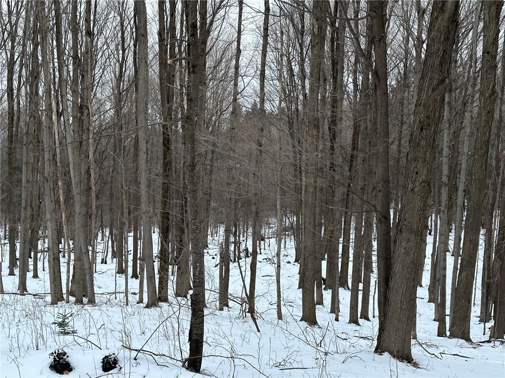 5151 Kelly Road Middlebury, NY 14591 - Photo 25 of 26