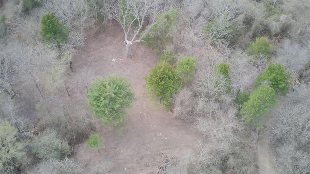 0 Sandswitch Road Ennis, TX 75119 - Photo 29 of 31 a view of a dry yard with a tree
