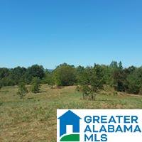 9 Highway 9 Lineville, AL 36266 - Photo 1 of 8