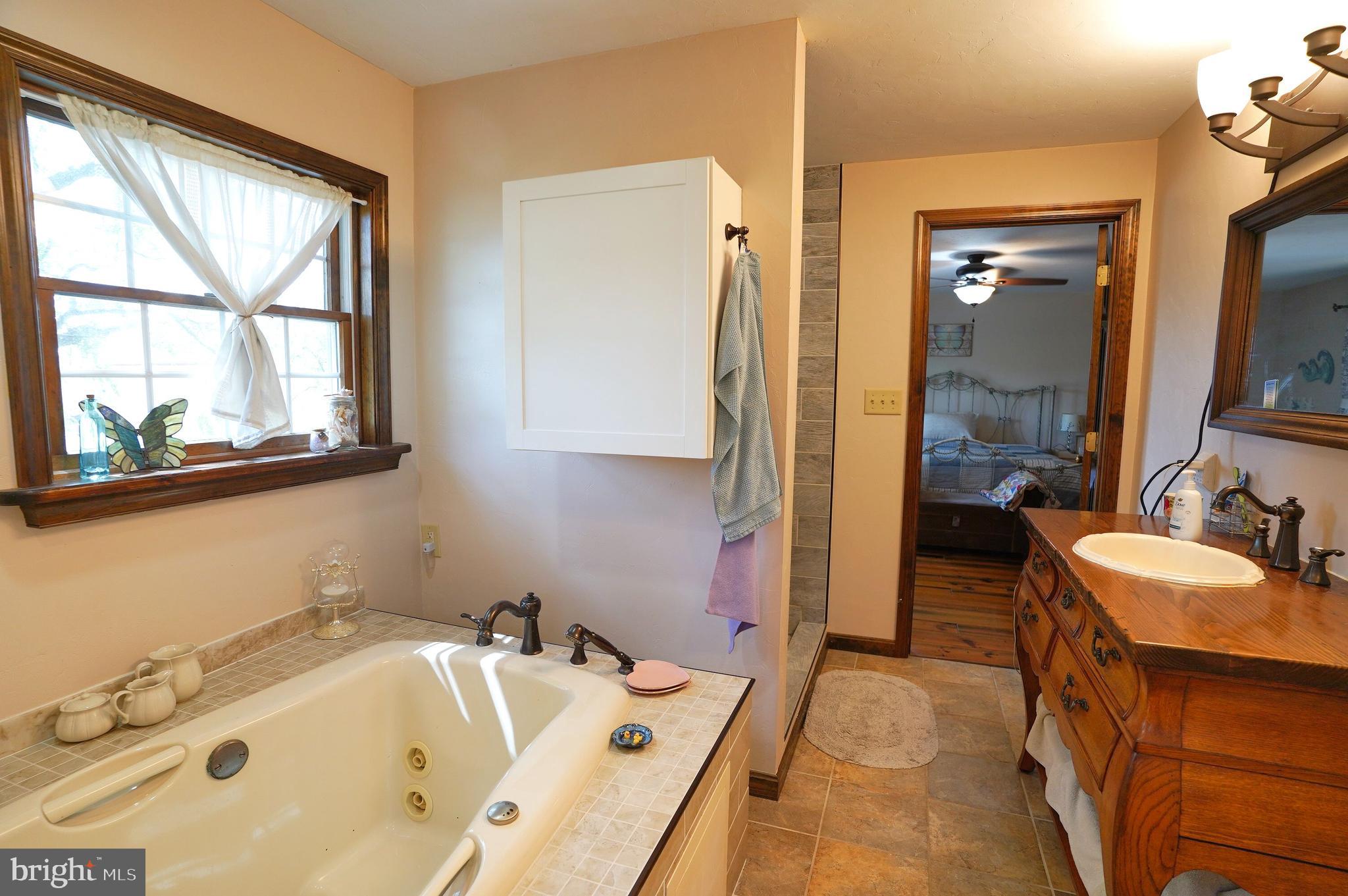 2215 Centennial Road Hanover, PA 17331 - Photo 34 of 60 a bathroom with a tub sink and mirror