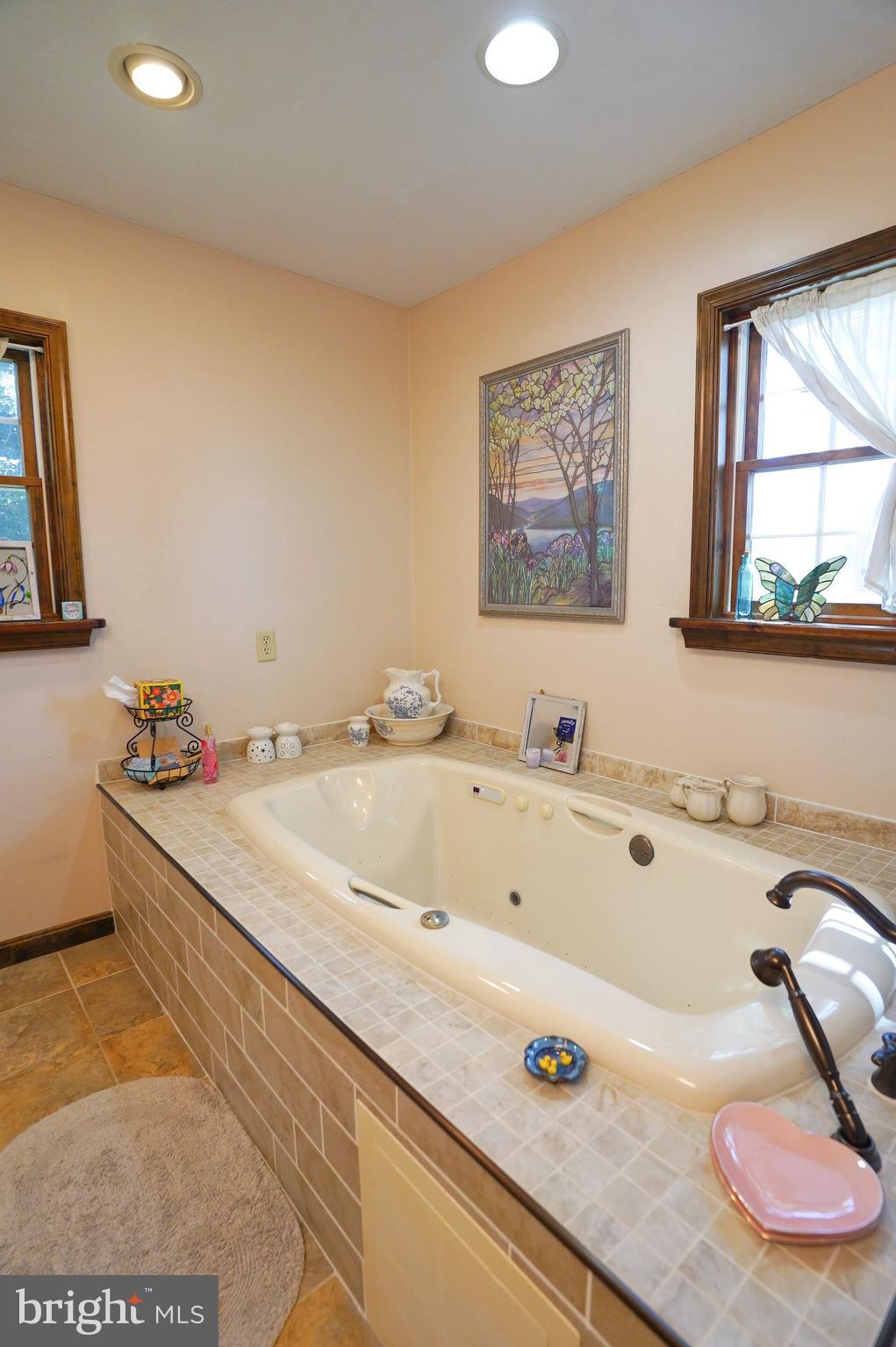 2215 Centennial Road Hanover, PA 17331 - Photo 35 of 60 a bathroom with a tub a sink and mirror