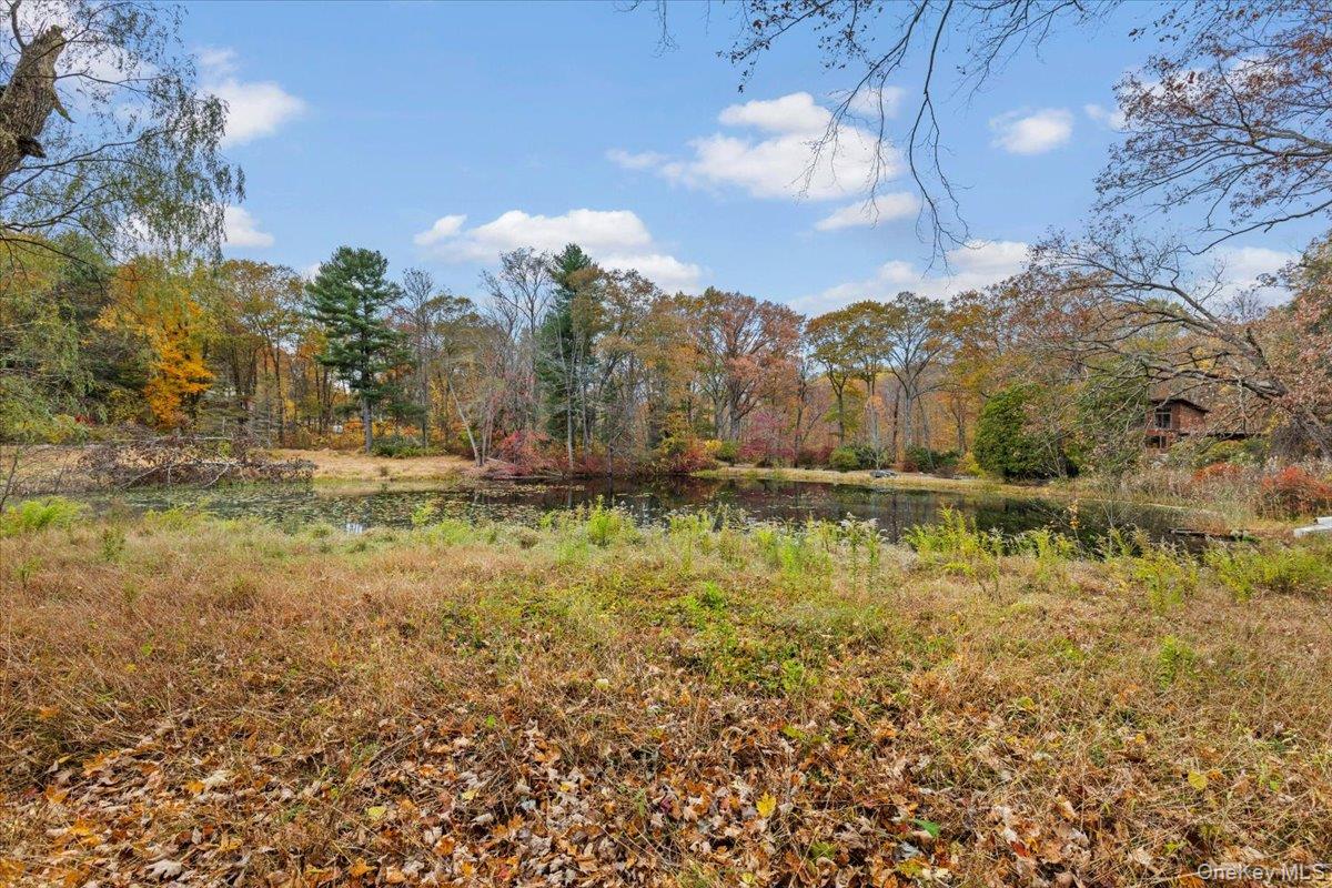 110 Oliver Road Bedford, NY 10506 - Photo 29 of 33 a view of lake view and mountain view