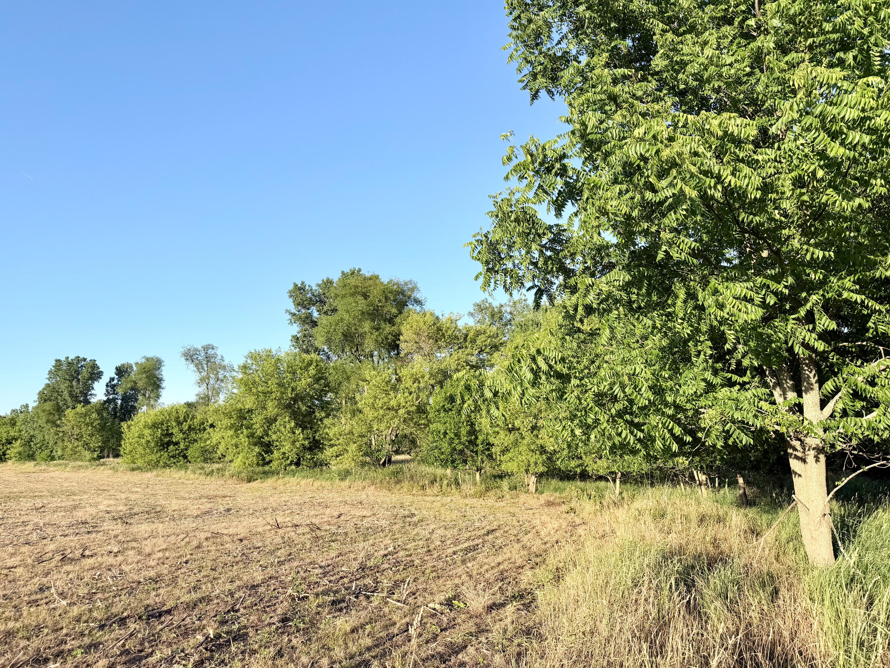 8375 South Stoney Lake Road Jackson, MI 49201 - Photo 14 of 101 Jackson 111.84-045