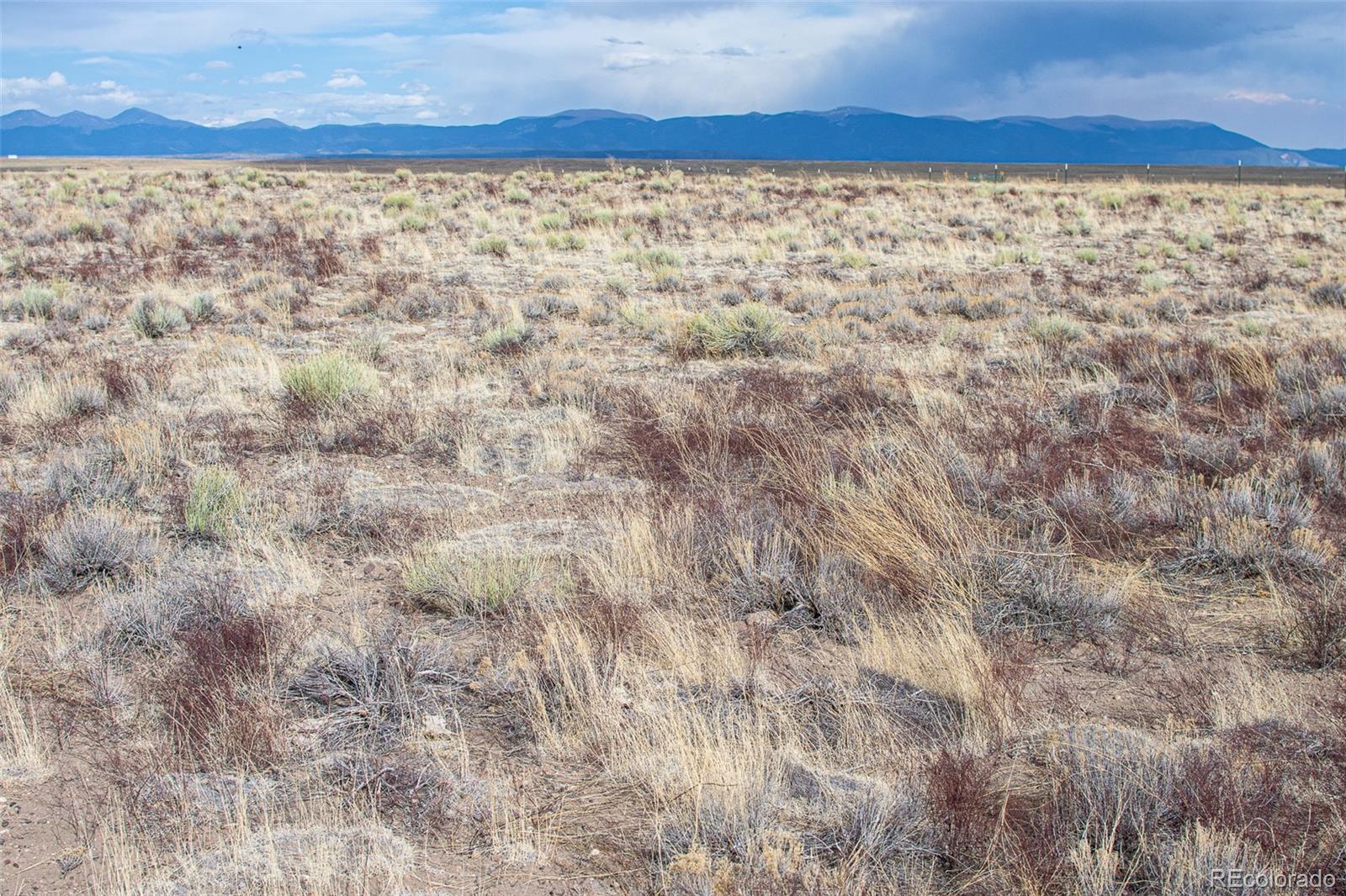 67 Kettledrum Road Sanford, CO 81151 - Photo 12 of 15 a view of wooden floor