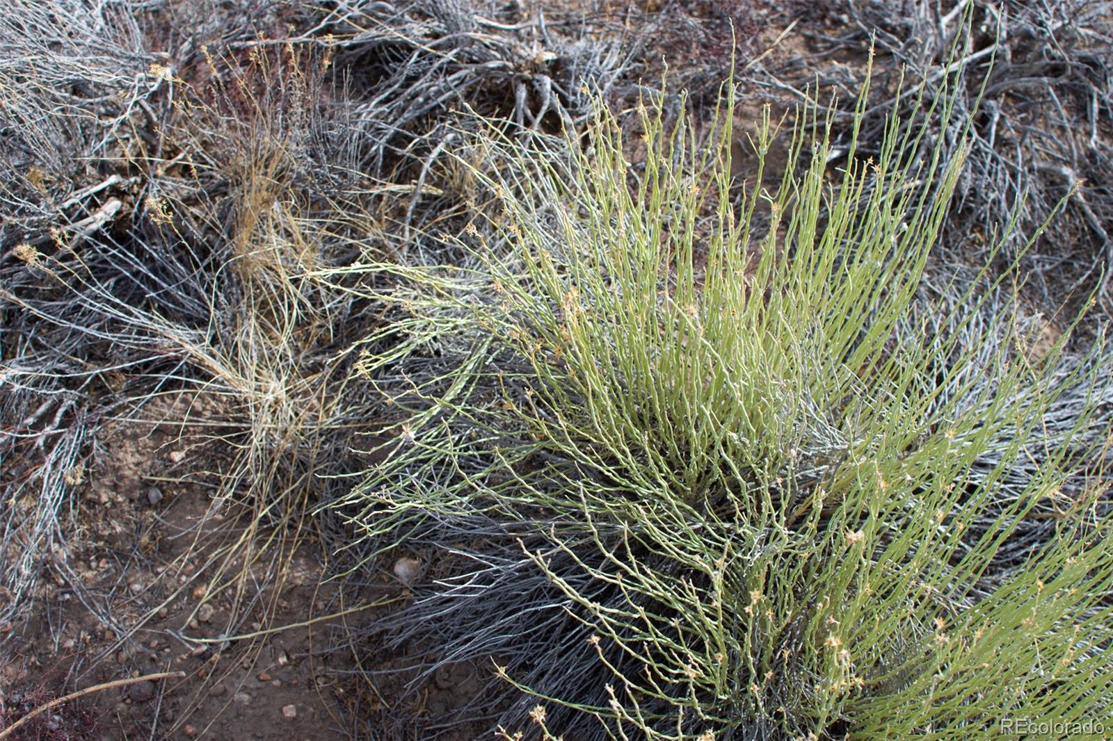 67 Kettledrum Road Sanford, CO 81151 - Photo 13 of 15