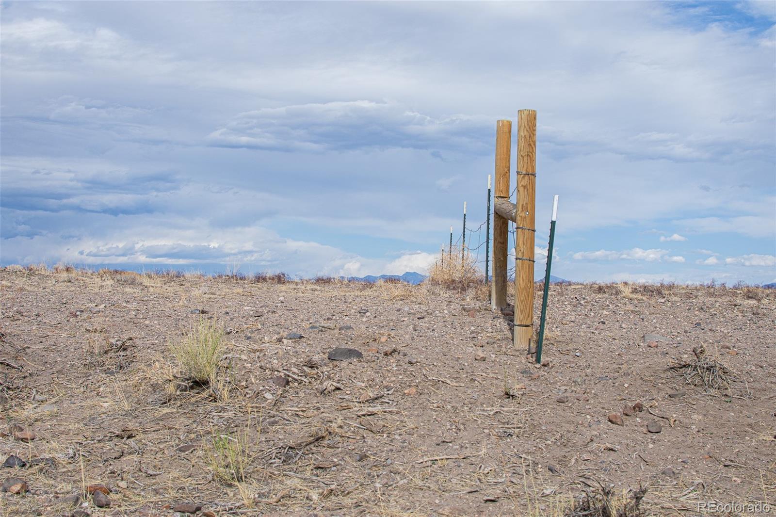 67 Kettledrum Road Sanford, CO 81151 - Photo 7 of 15 a view of a beach with a tree