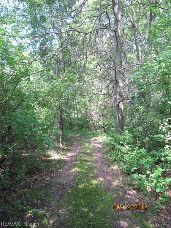 5453 North Tipsico Lake Road Holly, MI 48442 - Photo 23 of 25 TIPSICO WALKING PATH.jpg