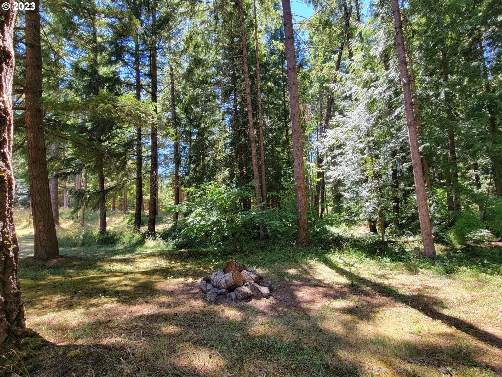 1080 Burma Road Camas Valley, OR 97416 - Photo 27 of 29 a view of outdoor space and yard