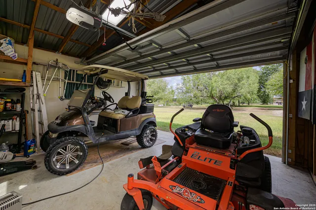 a park with large trees