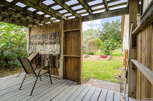 a view of a backyard with large tree