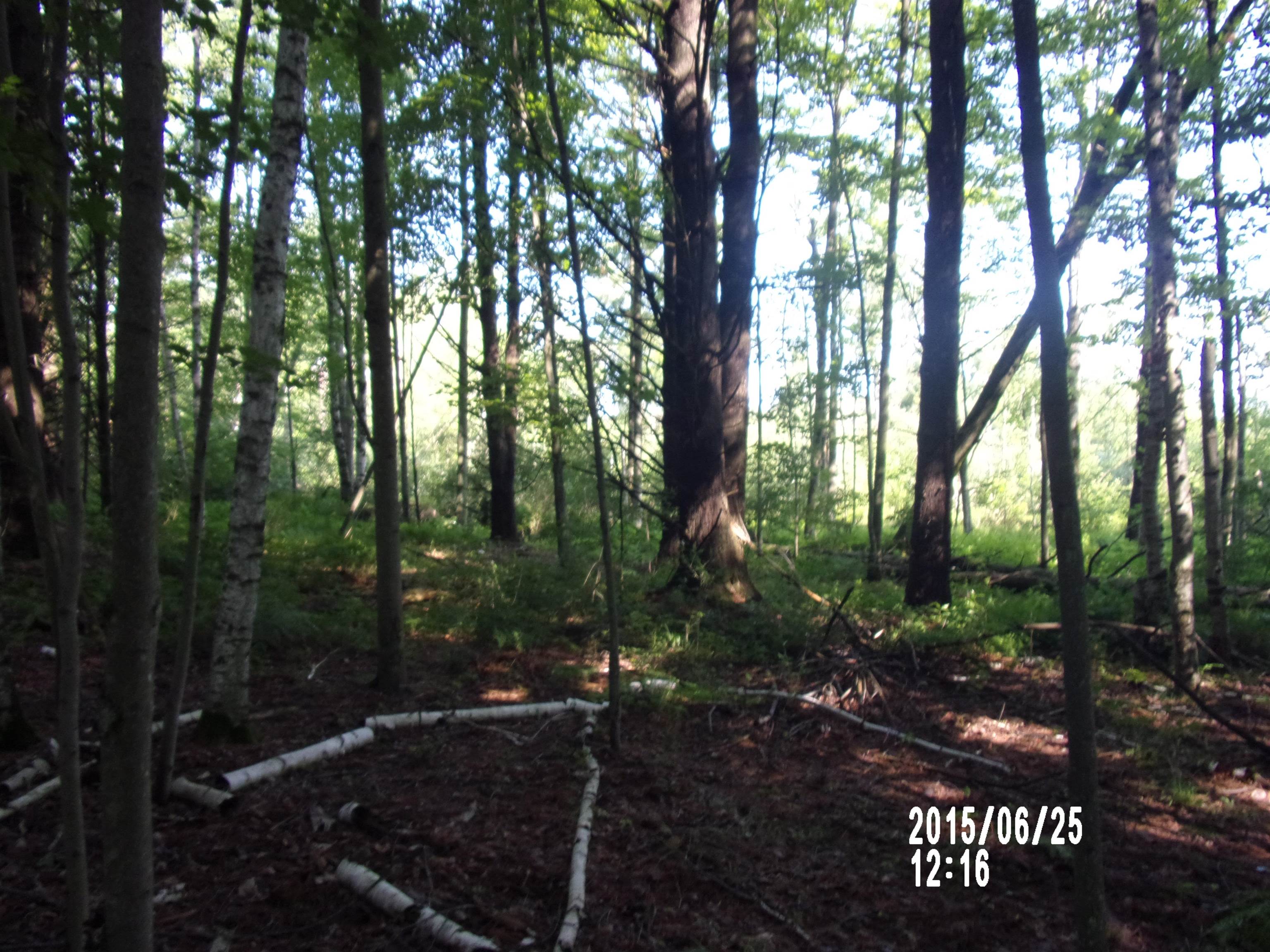 0 West Conners Road Twining, MI 48766 - Photo 10 of 10 1913178-9.JPG