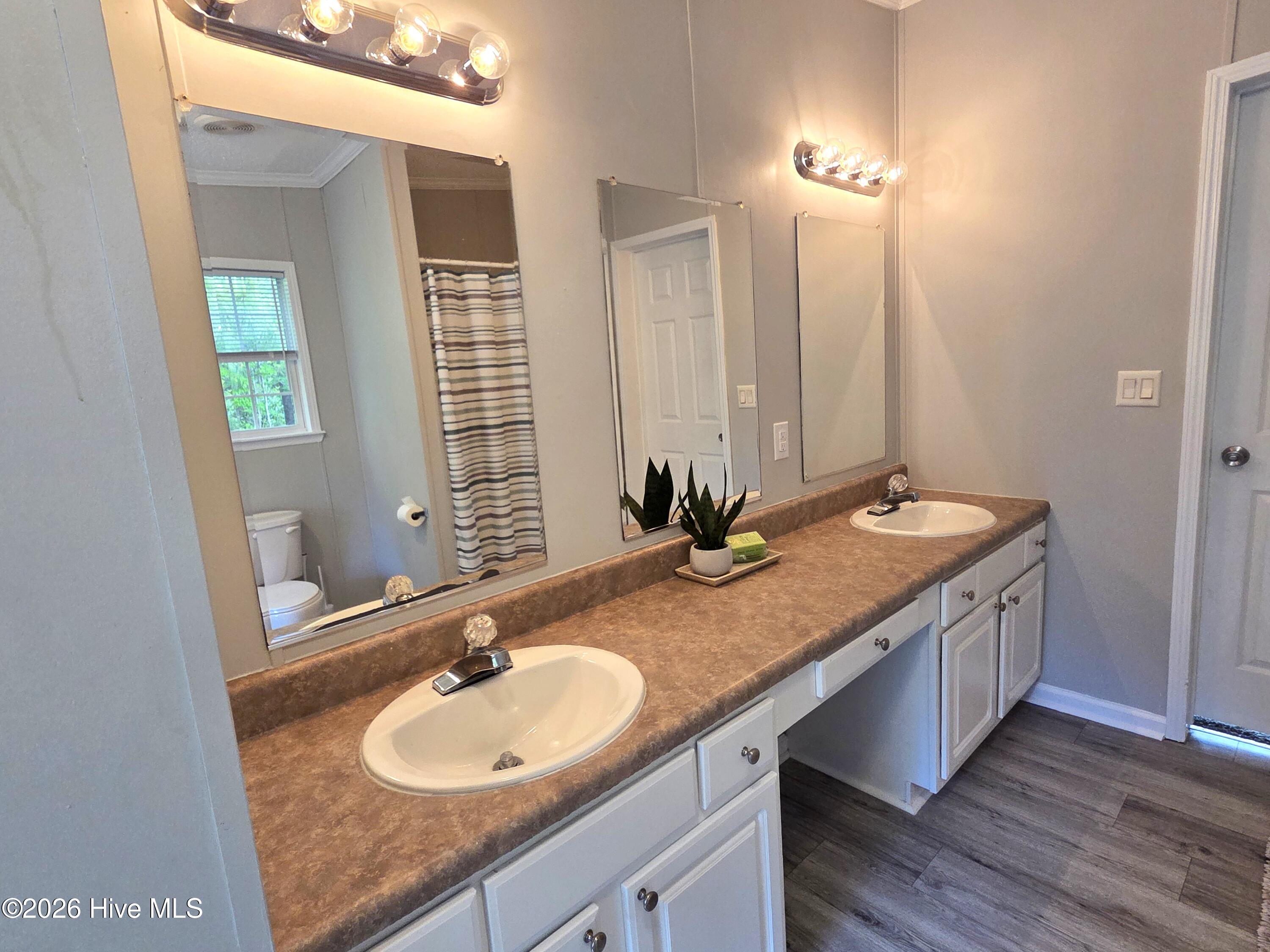 361 Fowler Manning Road Richlands, NC 28574 - Photo 22 of 35 Master Bath