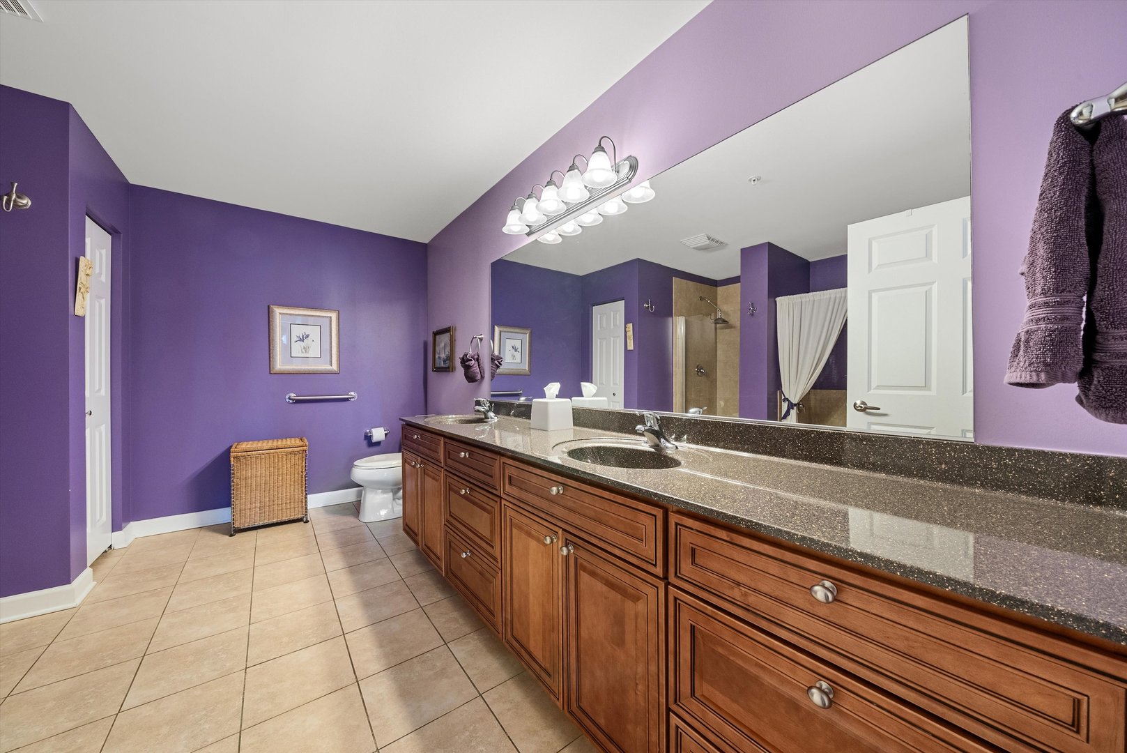 10 North Gilbert Street, Unit 314 South Elgin, IL 60177 - Photo 16 of 25 a spacious en suite bathroom with a granite countertop sink and a mirror