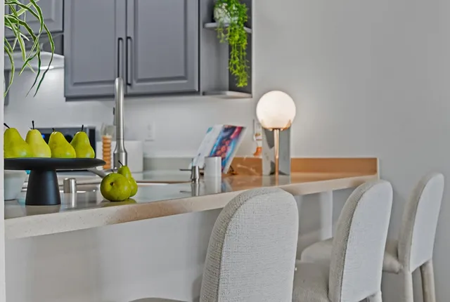 a living room with furniture and potted plants