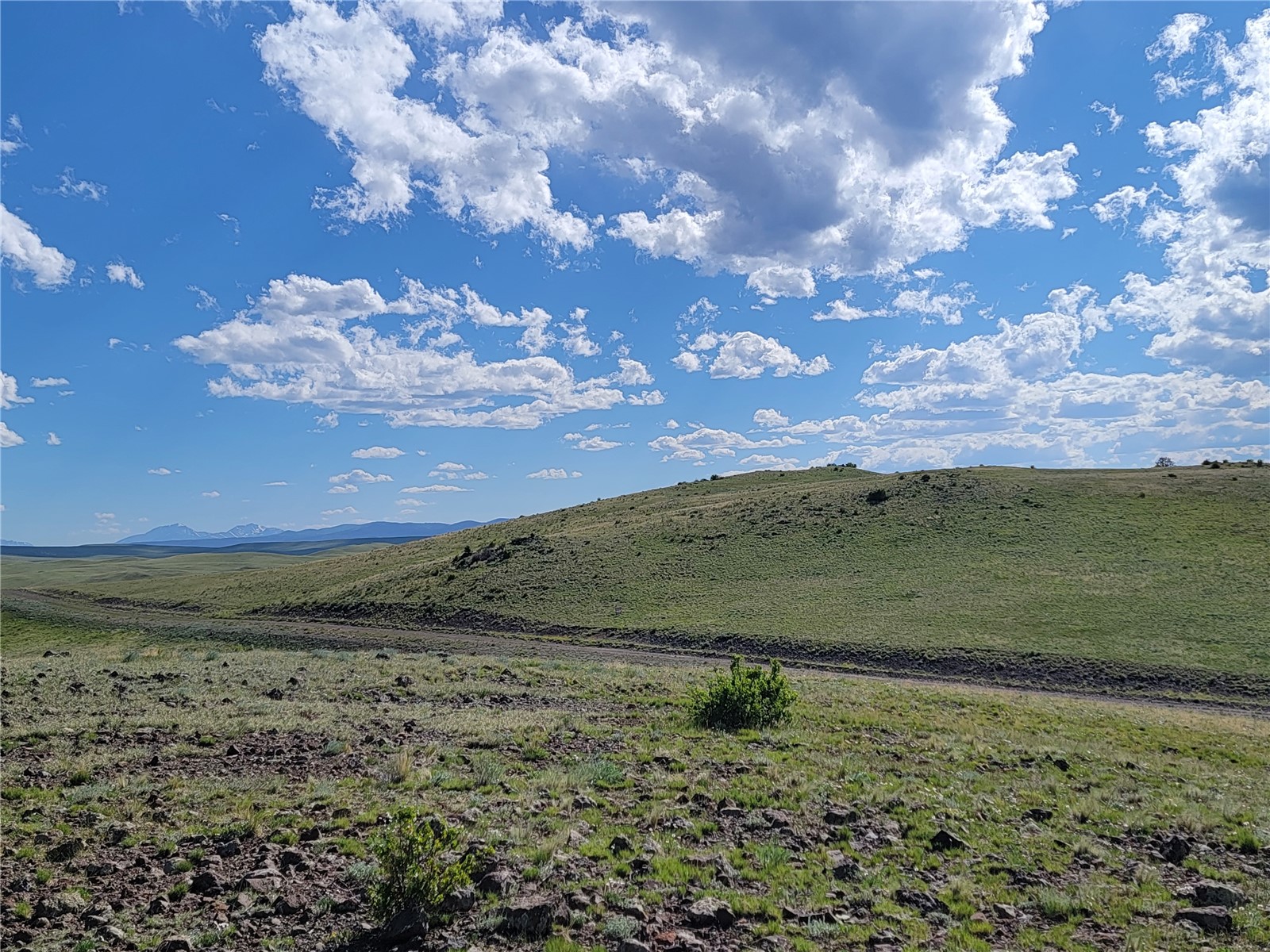 3999 Delaware Road Hartsel, CO 80449 - Photo 23 of 23 View of mountain backdrop