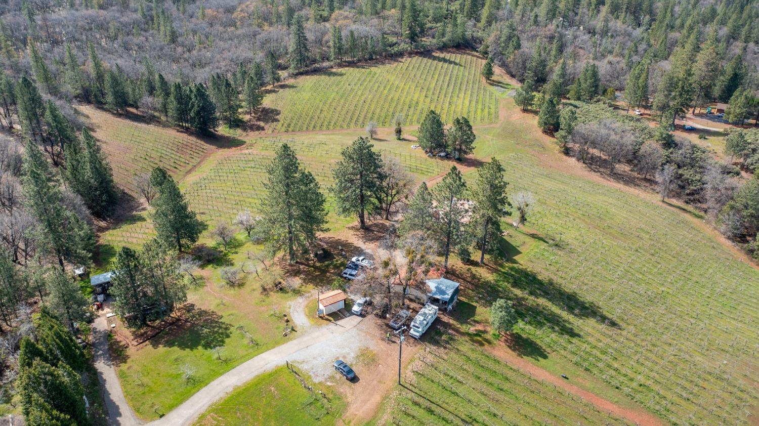4771 Greenhills Road Placerville, CA 95667 - Photo 2 of 71 Gallery Image 2