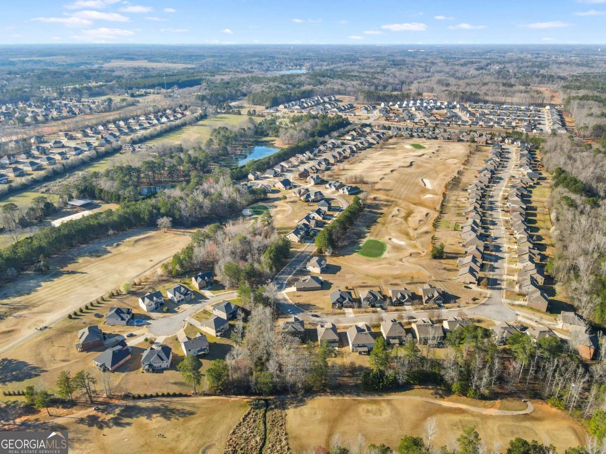 3297 Alhambra Circle Hampton, GA 30228 - Photo 50 of 53