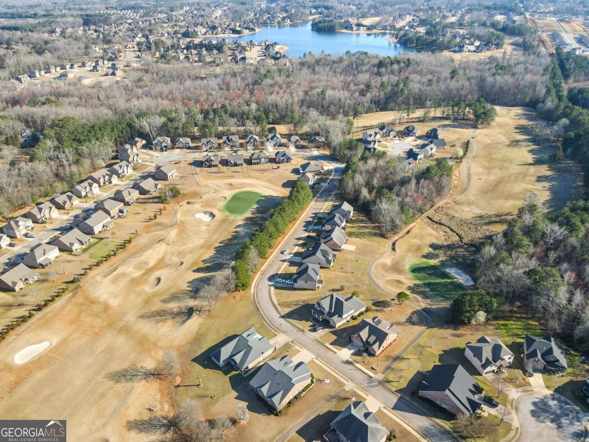 3297 Alhambra Circle Hampton, GA 30228 - Photo 52 of 53