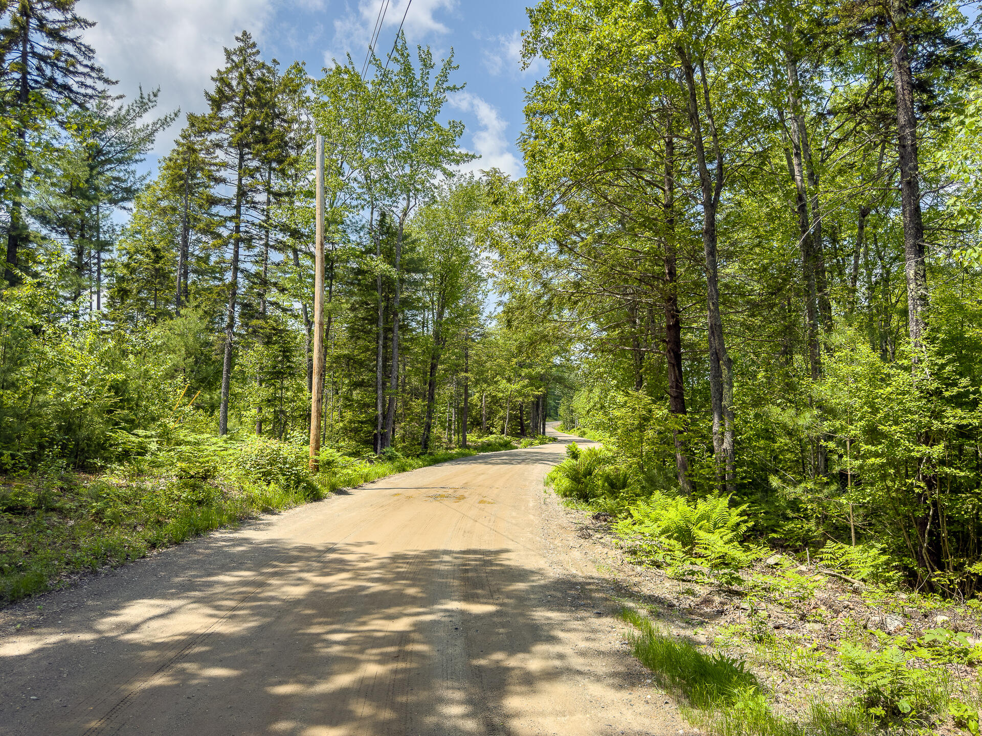 Lot 2 Sodom Road Bristol, ME 04539 - Photo 18 of 29 0_Sodom_Rd_spring-36