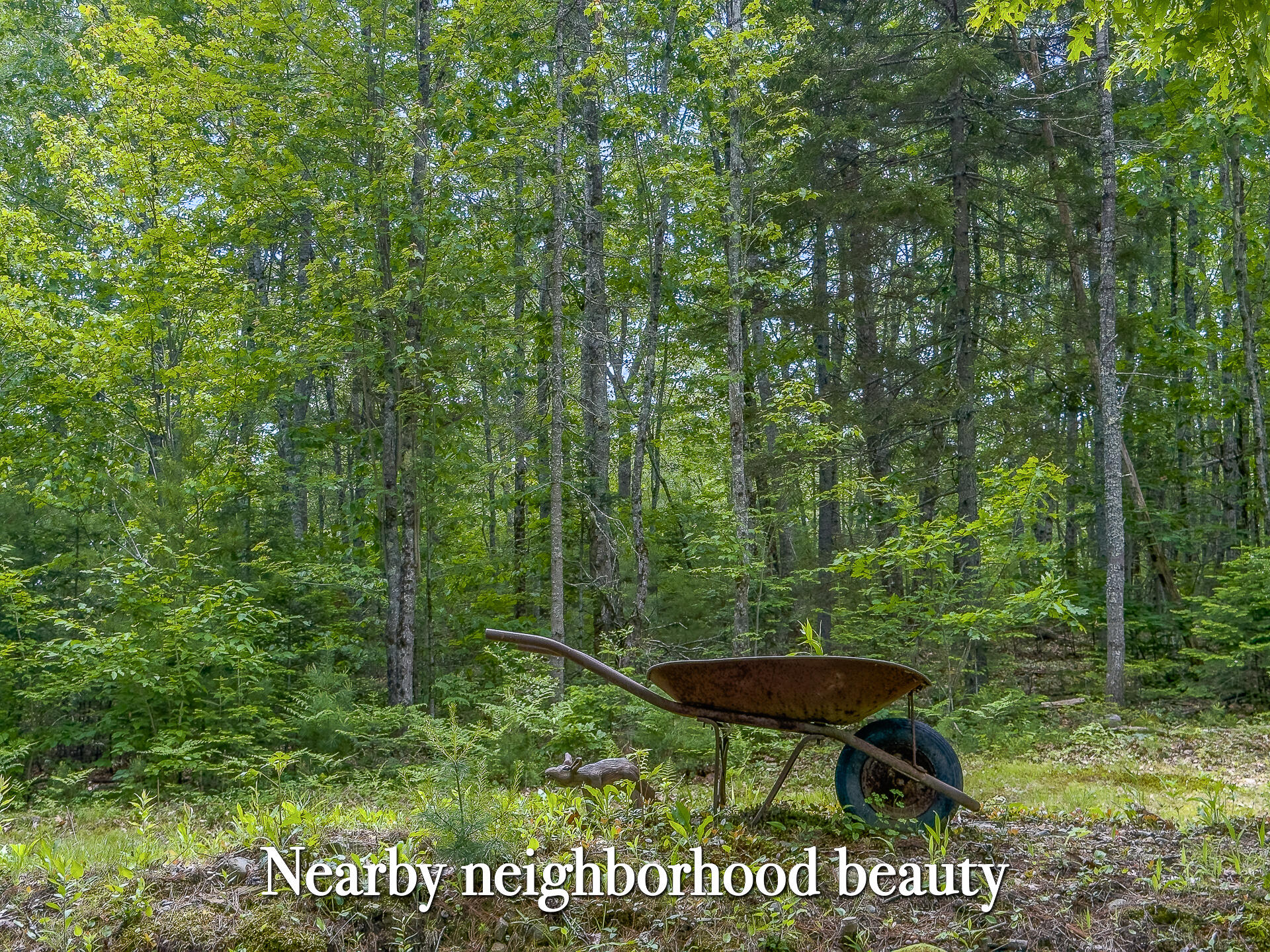 Lot 2 Sodom Road Bristol, ME 04539 - Photo 20 of 29 0_Sodom_Rd_spring-40