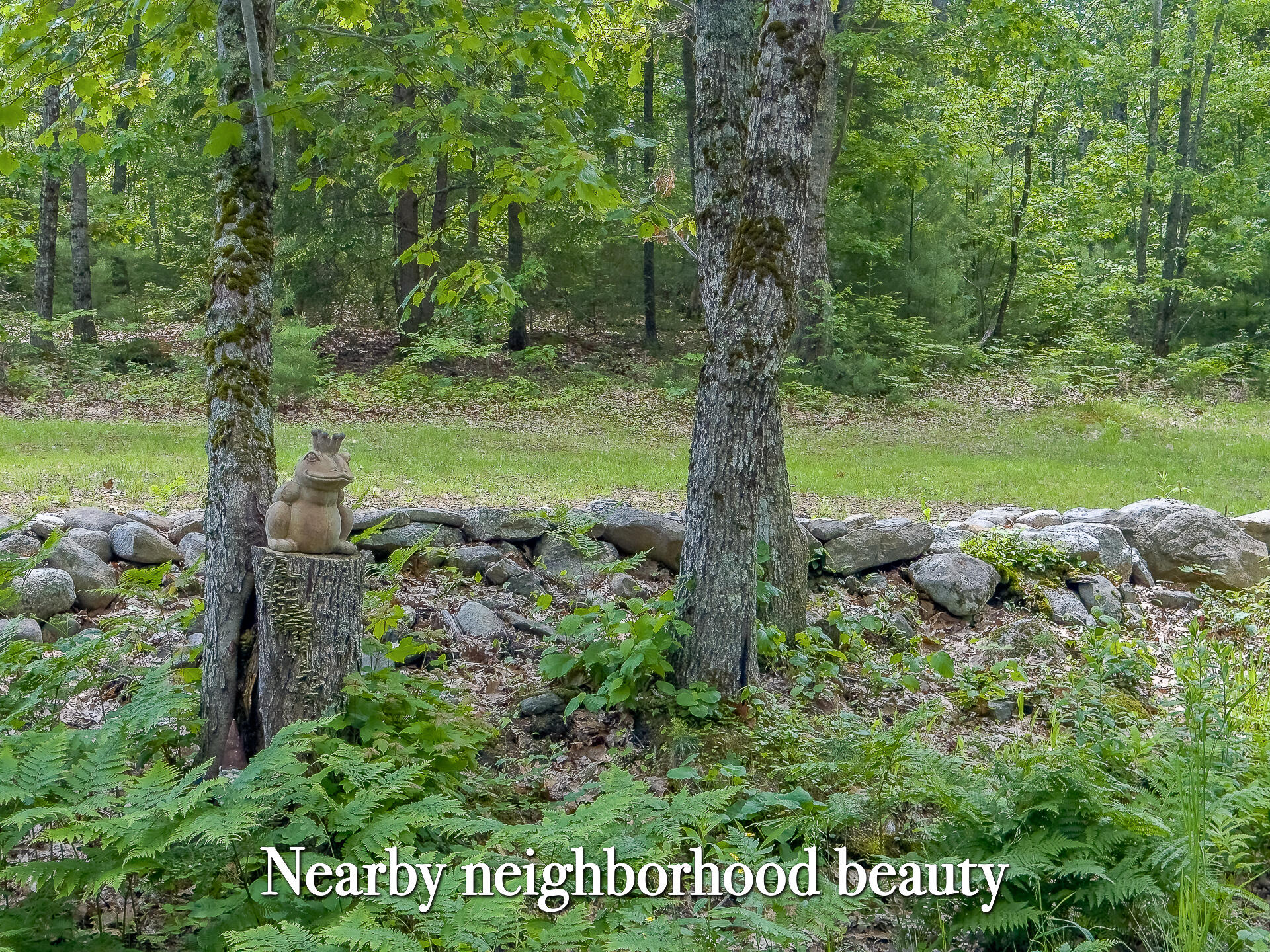 Lot 2 Sodom Road Bristol, ME 04539 - Photo 21 of 29 0_Sodom_Rd_spring-41