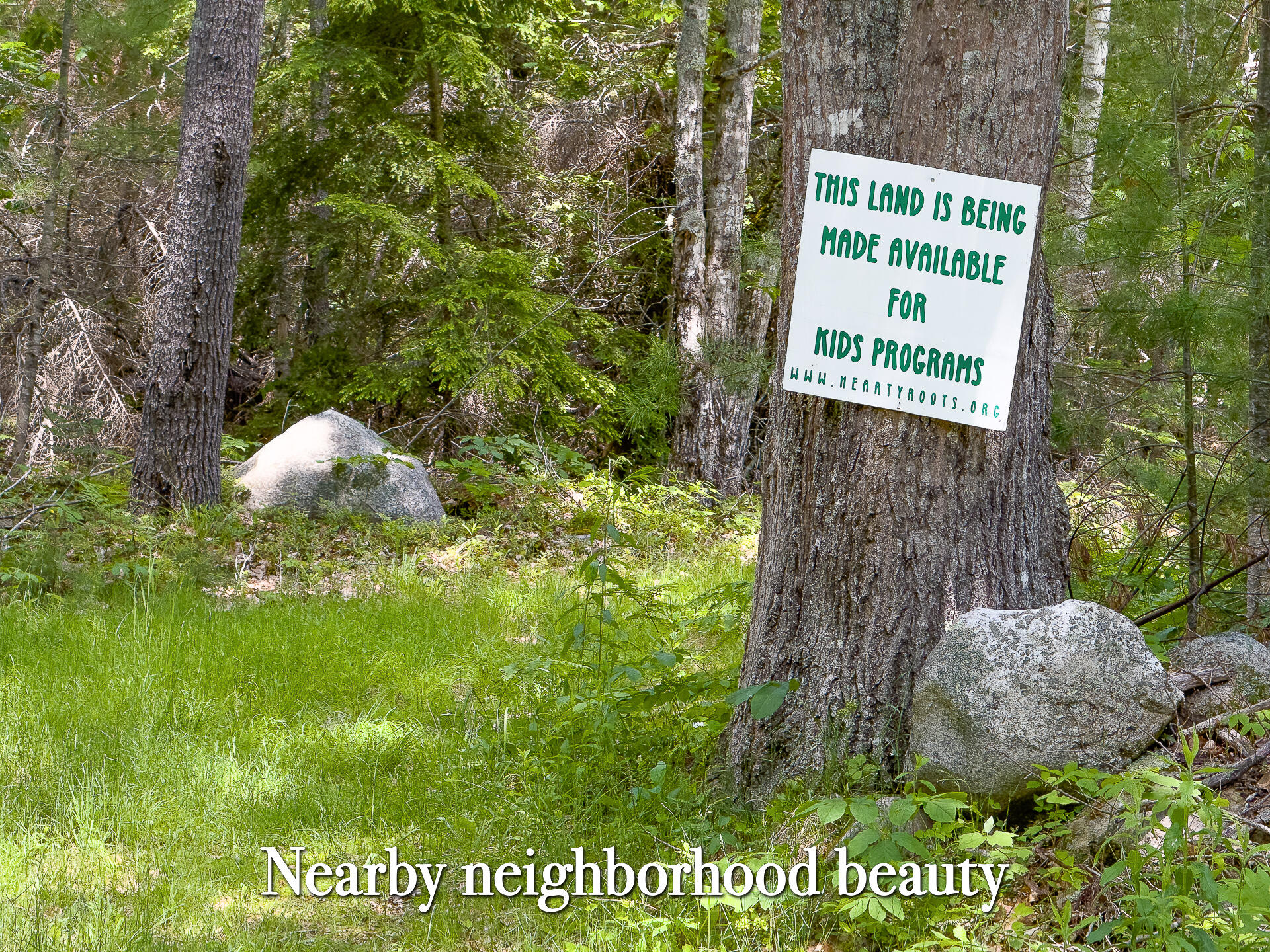 Lot 2 Sodom Road Bristol, ME 04539 - Photo 23 of 29 0_Sodom_Rd_spring-43