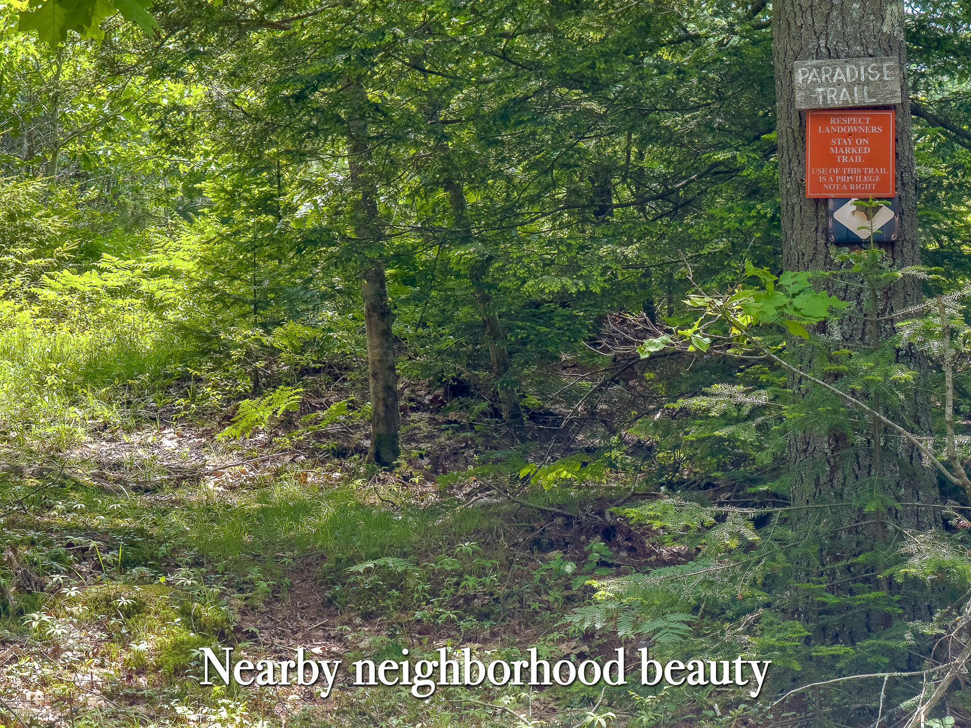 Lot 2 Sodom Road Bristol, ME 04539 - Photo 24 of 29 0_Sodom_Rd_spring-44