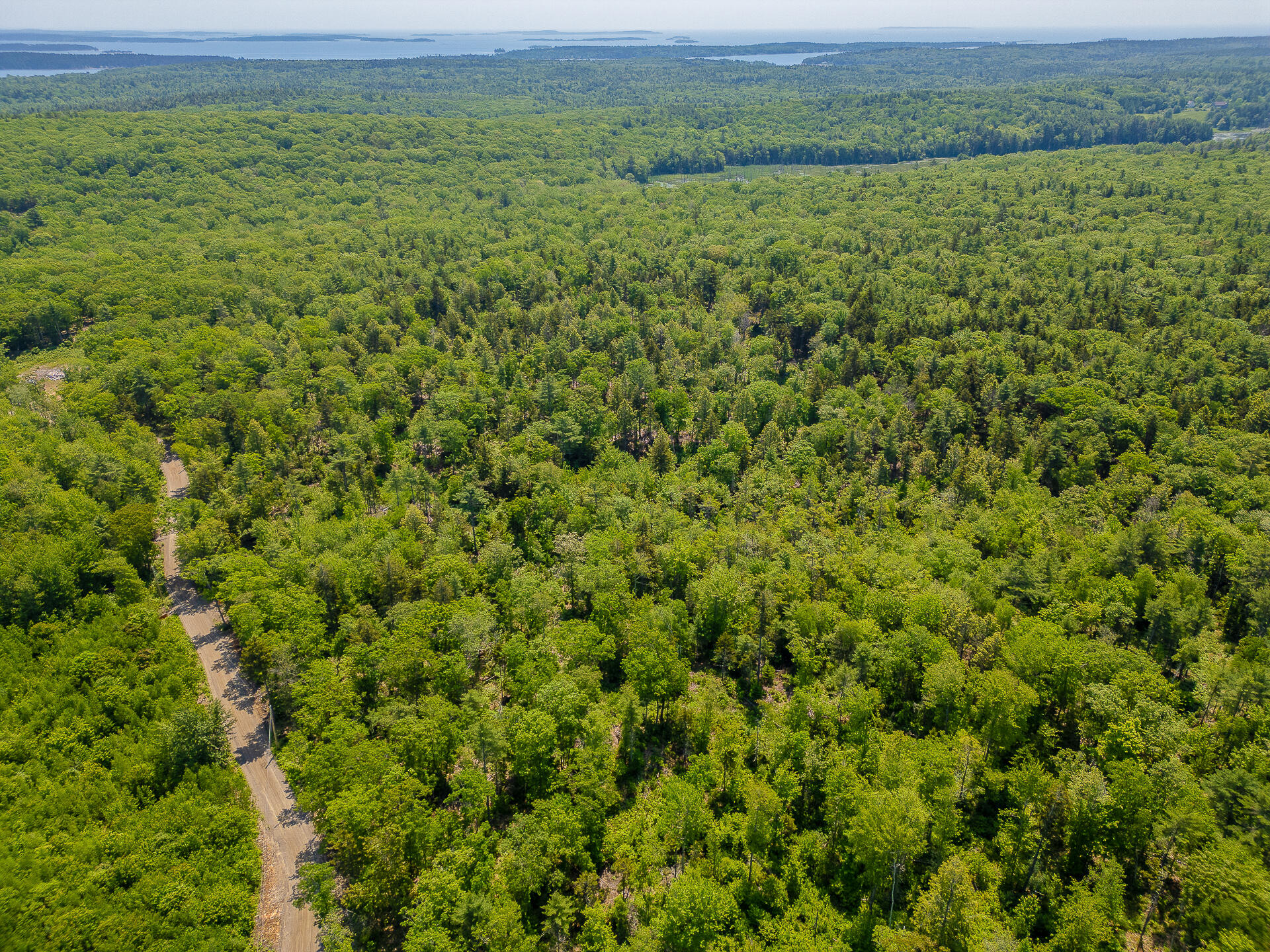 Lot 2 Sodom Road Bristol, ME 04539 - Photo 9 of 29 0_Sodom_Rd_spring-8