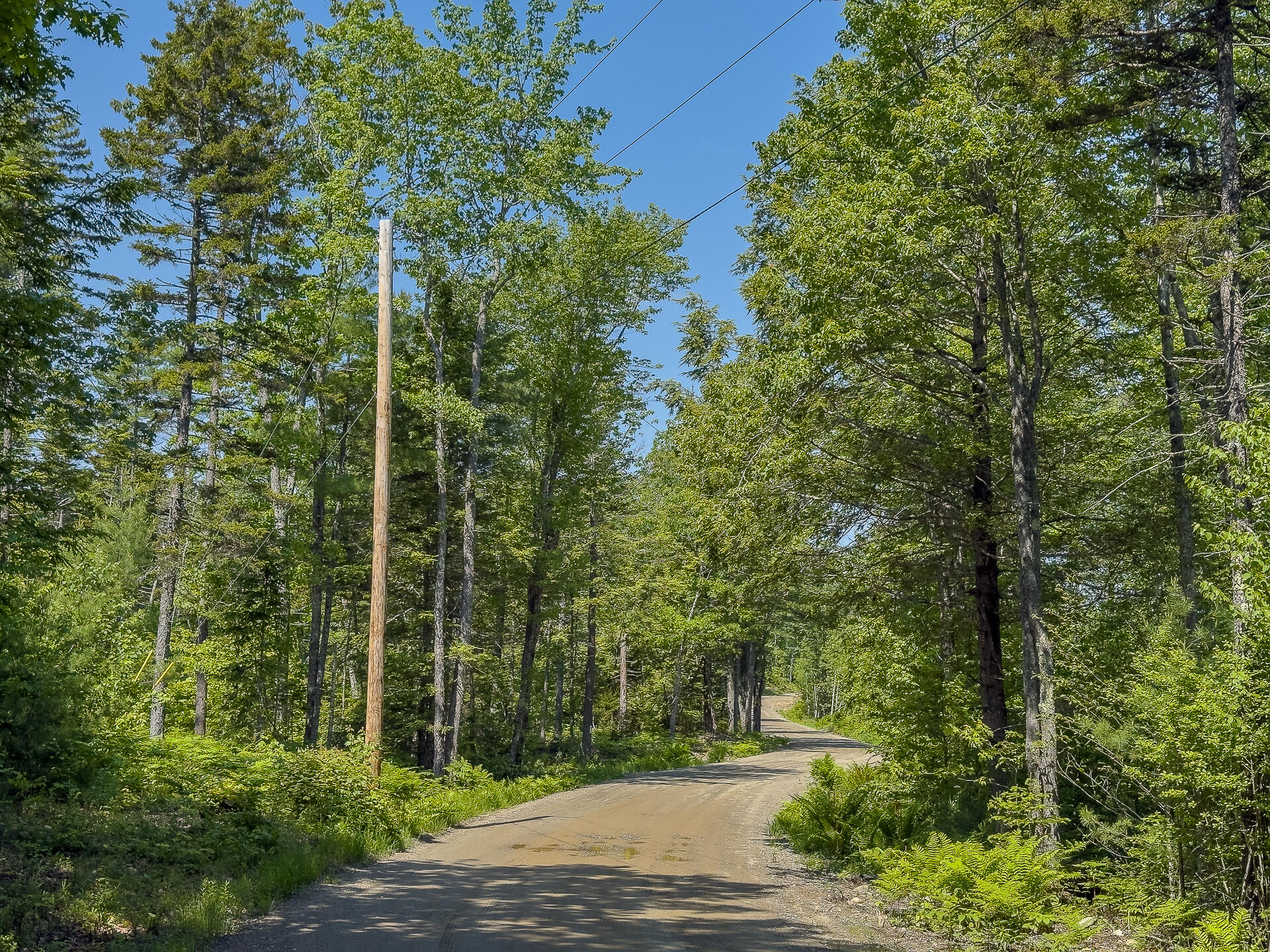 Lot 2 Sodom Road Bristol, ME 04539 - Photo 10 of 29 0_Sodom_Rd_spring-9