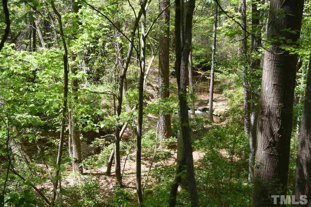 1945 Trexler Court Raleigh, NC 27606 - Photo 13 of 13 a view of forest