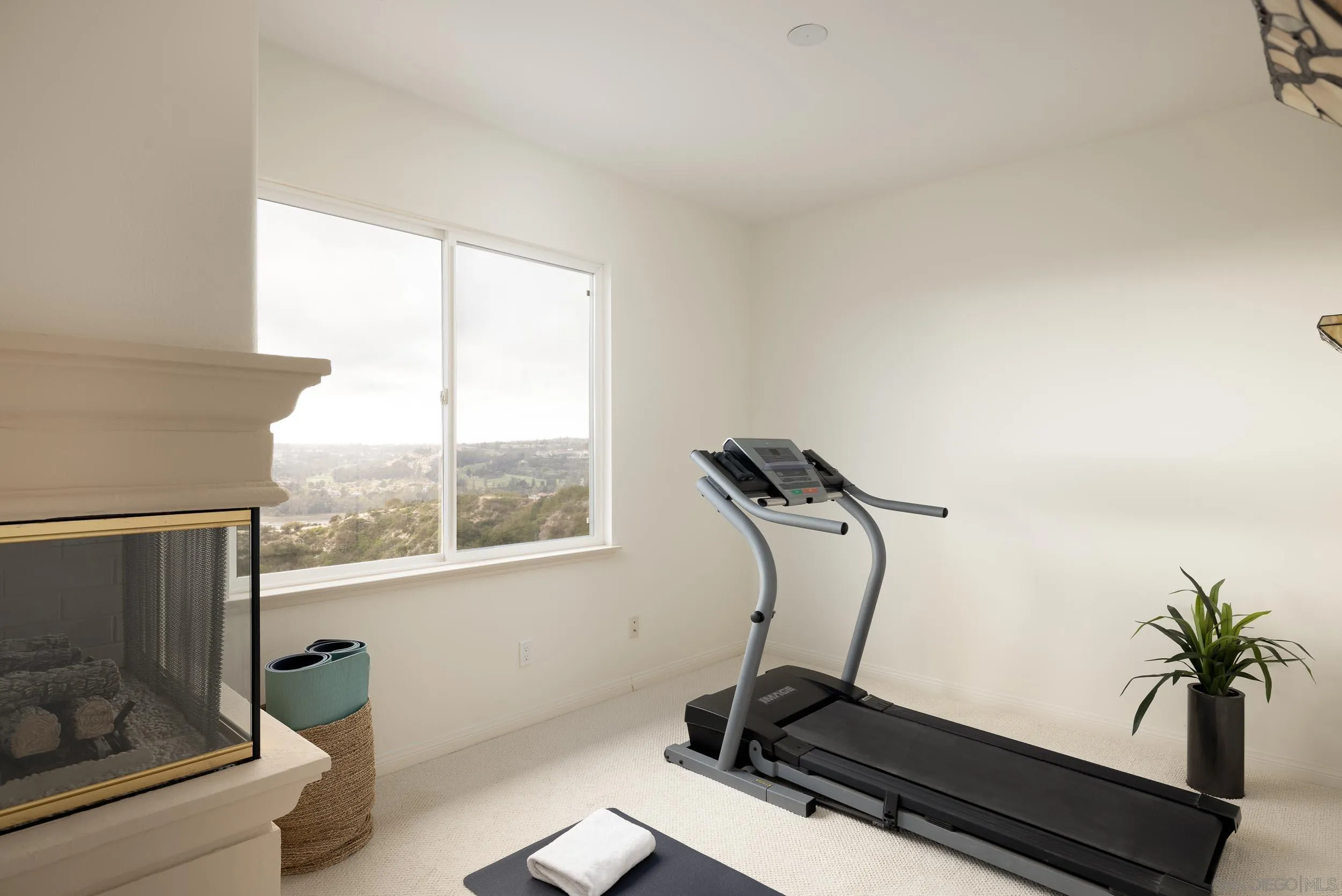1786 Swallowtail Road Encinitas, CA 92024 - Photo 19 of 46 a room with gym equipment and a window