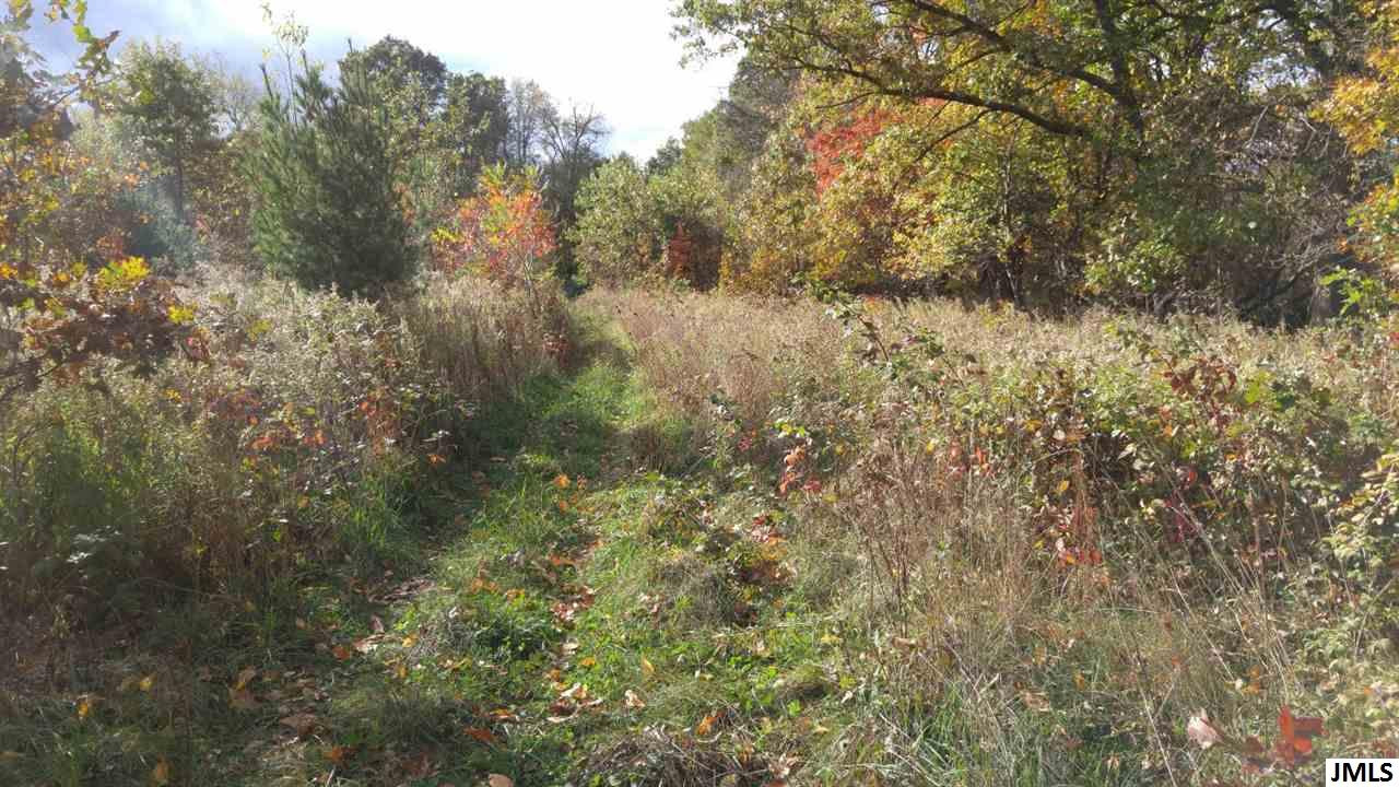Vl Rogers Road Parma, MI 49269 - Photo 11 of 30 Photo 11
