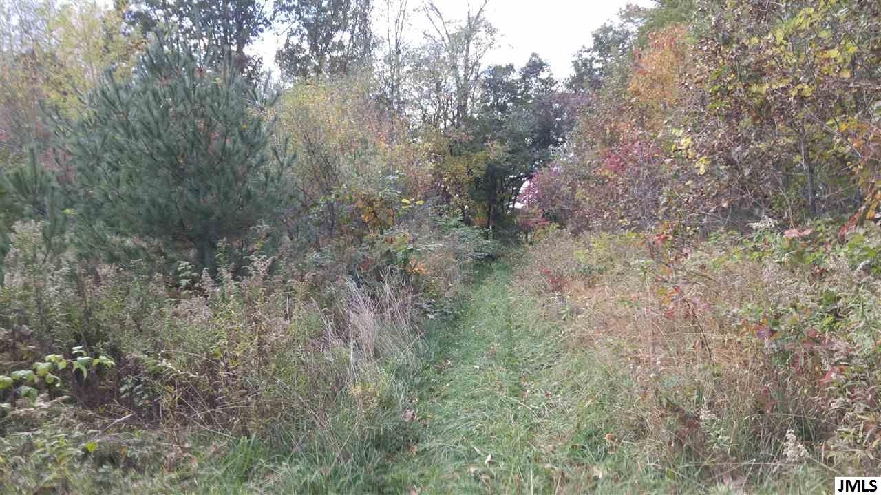 Vl Rogers Road Parma, MI 49269 - Photo 12 of 30 Photo 12