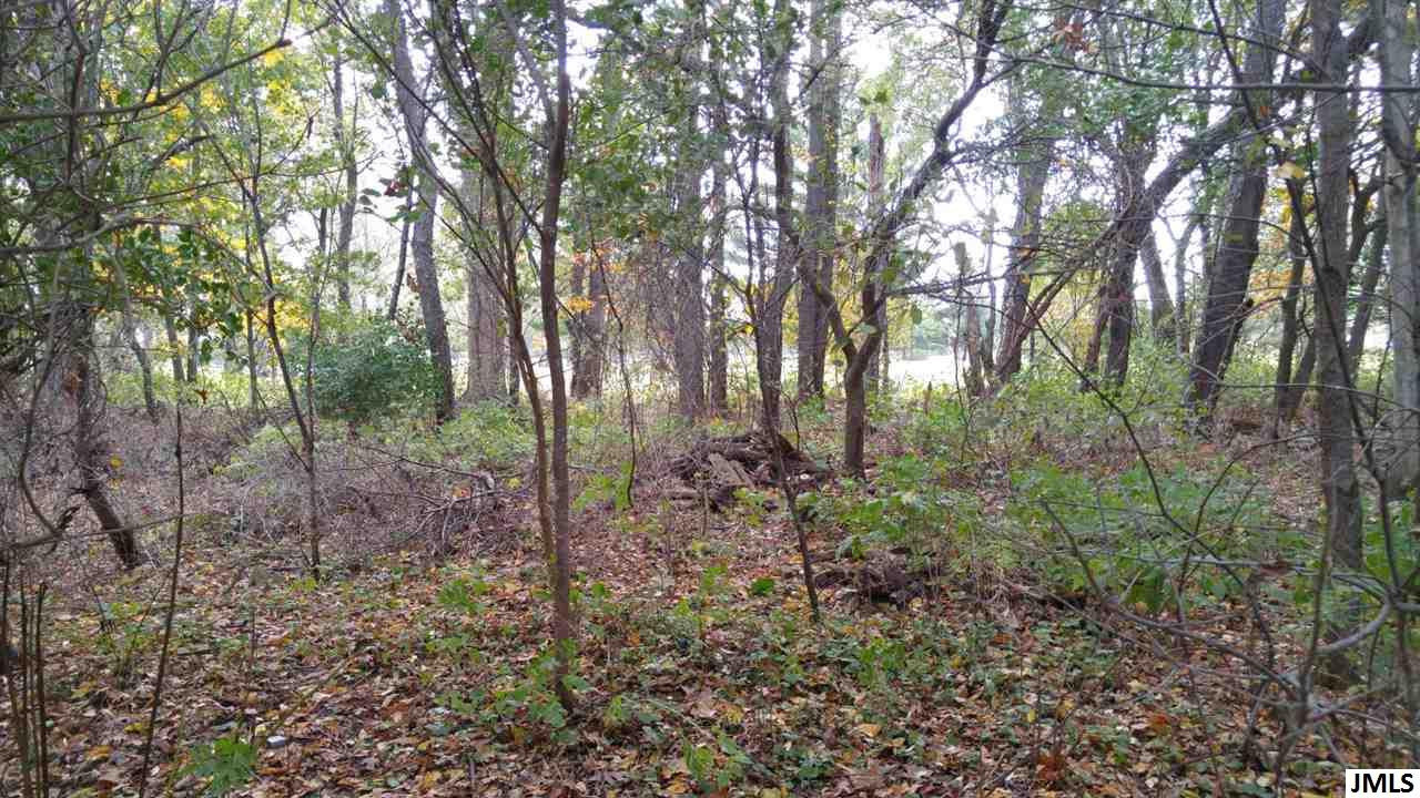 Vl Rogers Road Parma, MI 49269 - Photo 13 of 30 Photo 13