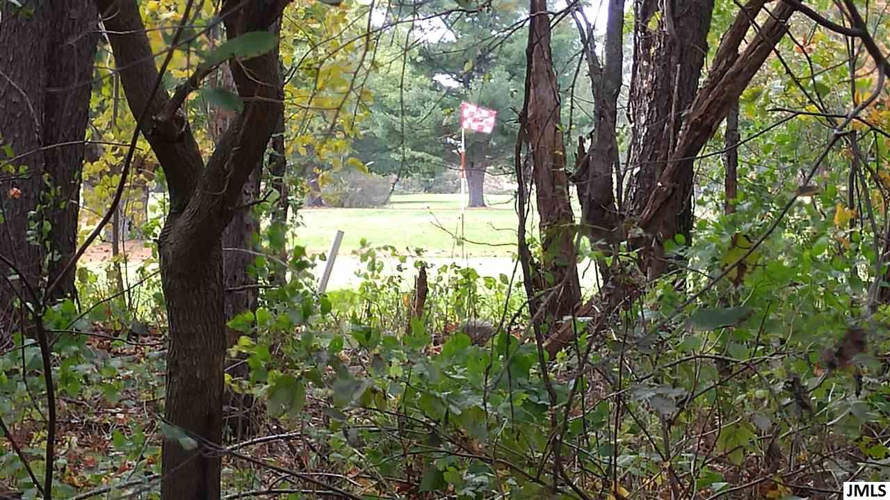 Vl Rogers Road Parma, MI 49269 - Photo 14 of 30 Photo 14