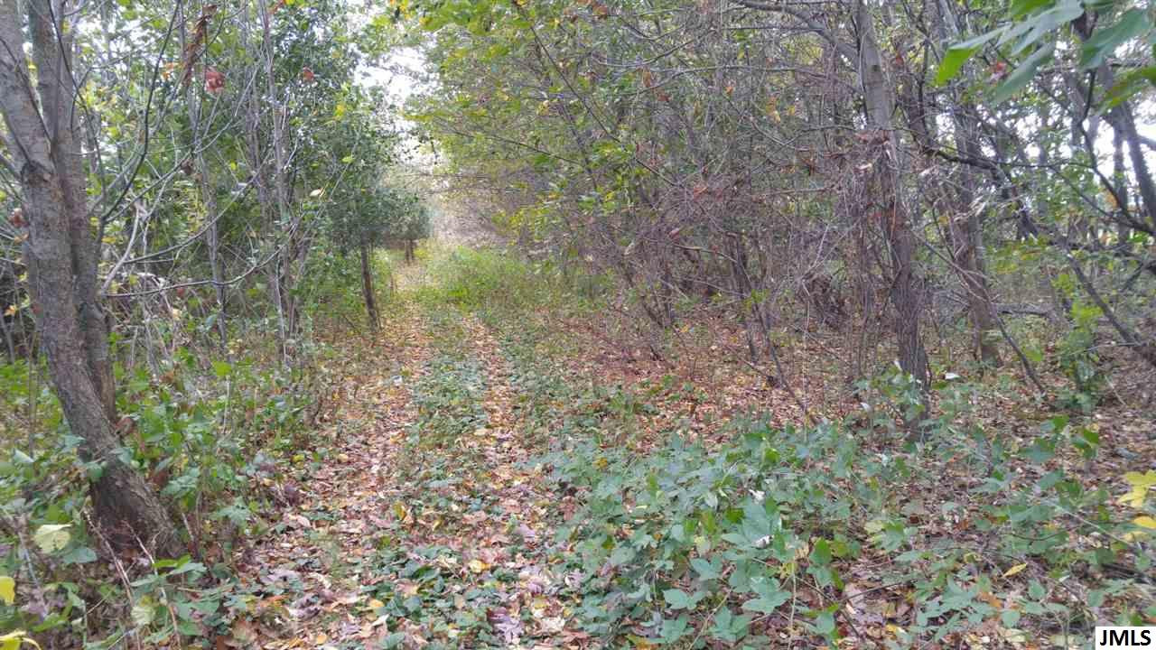 Vl Rogers Road Parma, MI 49269 - Photo 15 of 30 Photo 15