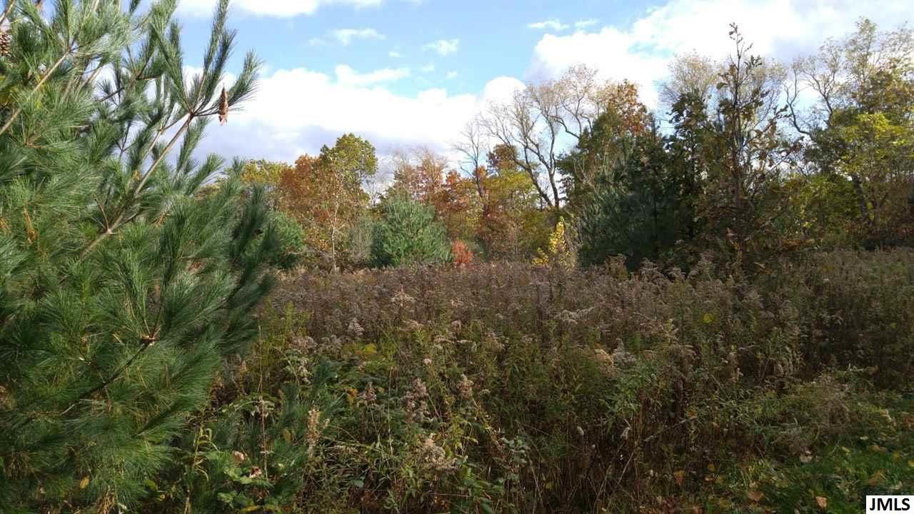 Vl Rogers Road Parma, MI 49269 - Photo 18 of 30 Photo 18