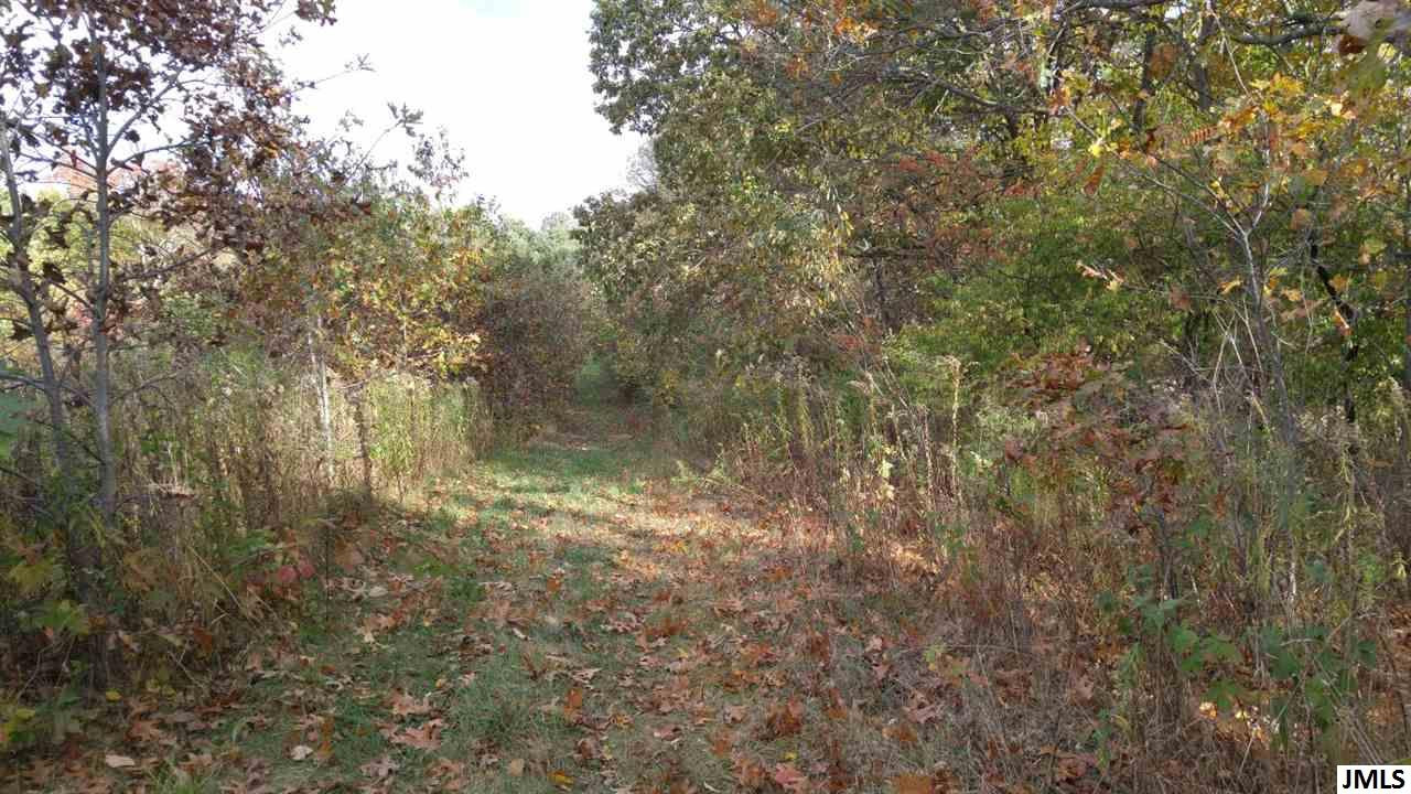 Vl Rogers Road Parma, MI 49269 - Photo 19 of 30 Photo 19