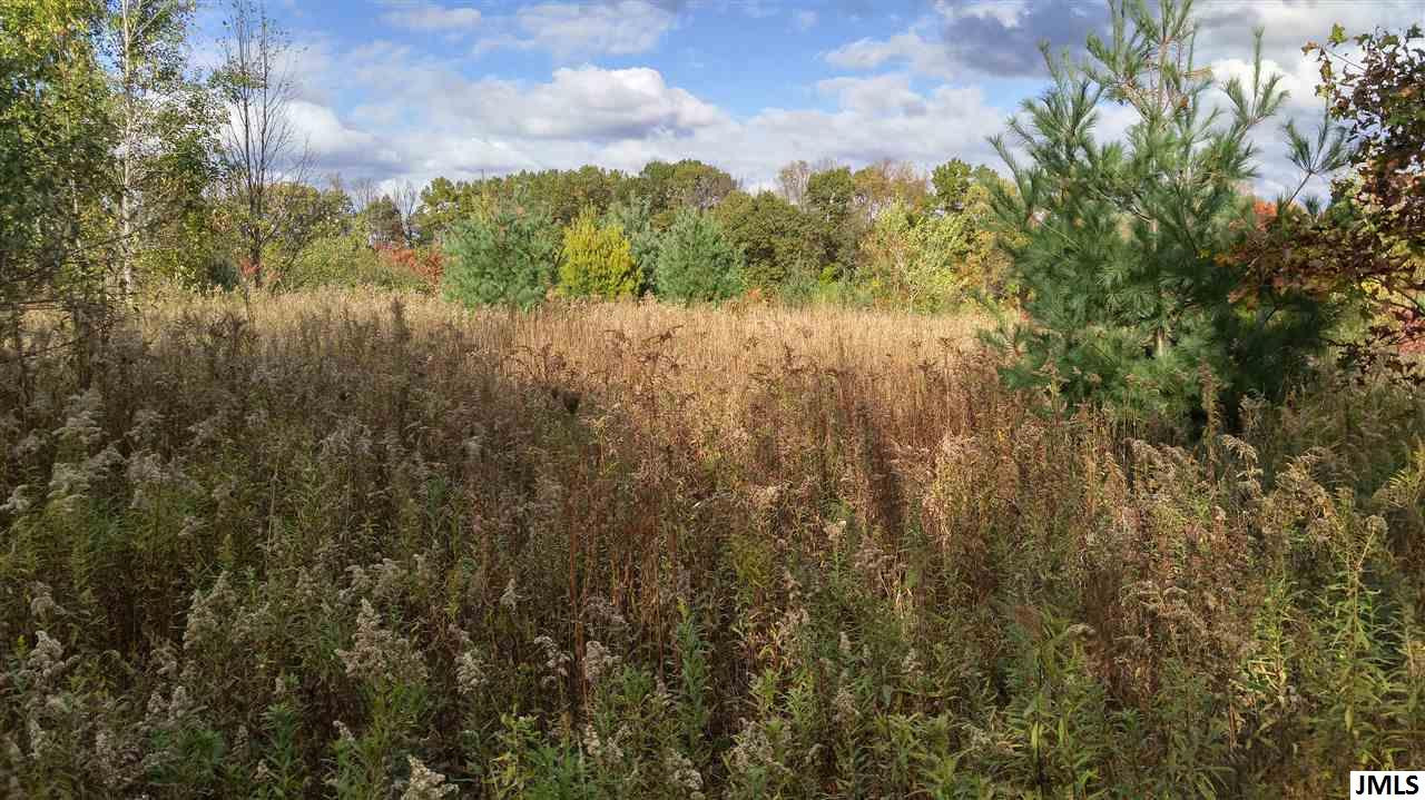 Vl Rogers Road Parma, MI 49269 - Photo 20 of 30 Photo 20