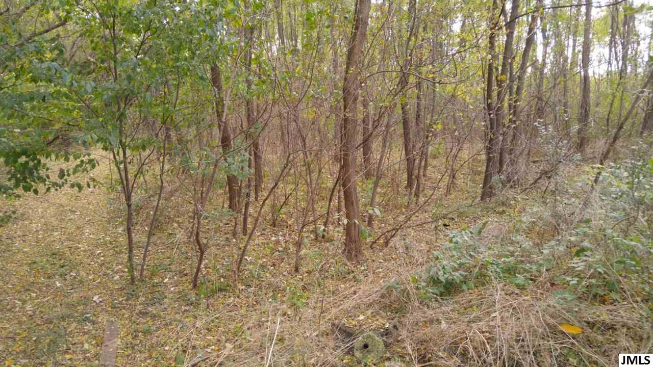 Vl Rogers Road Parma, MI 49269 - Photo 2 of 30 Photo 2