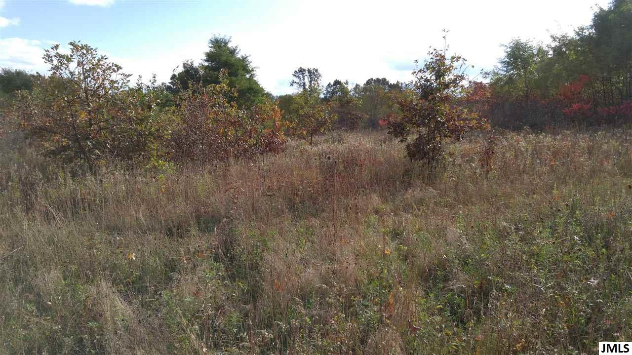 Vl Rogers Road Parma, MI 49269 - Photo 4 of 30 Photo 4