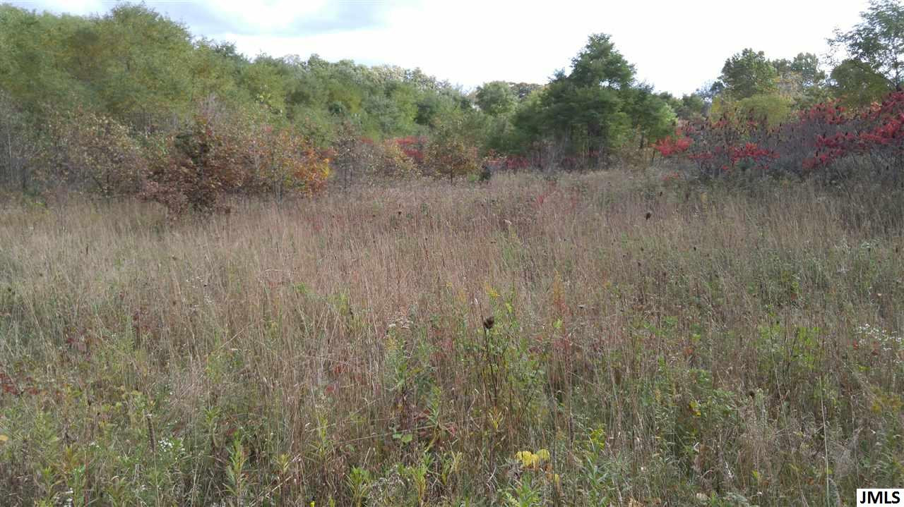 Vl Rogers Road Parma, MI 49269 - Photo 5 of 30 Photo 5