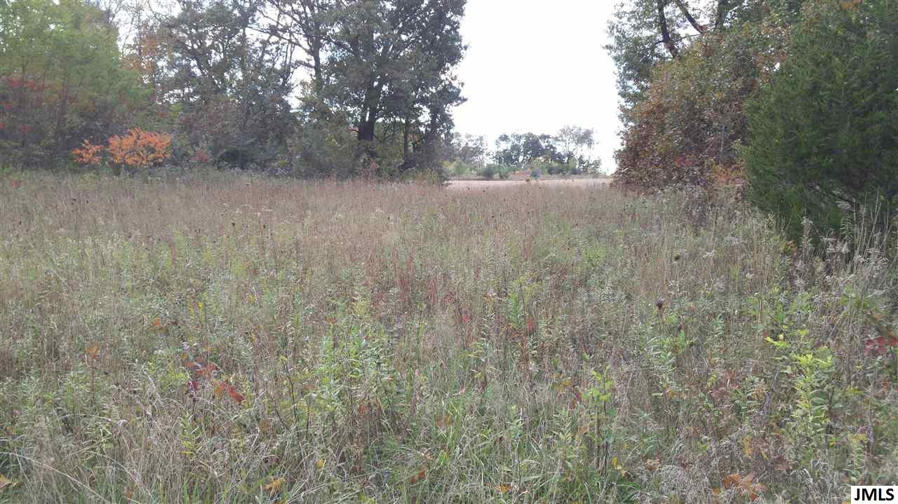 Vl Rogers Road Parma, MI 49269 - Photo 6 of 30 Photo 6