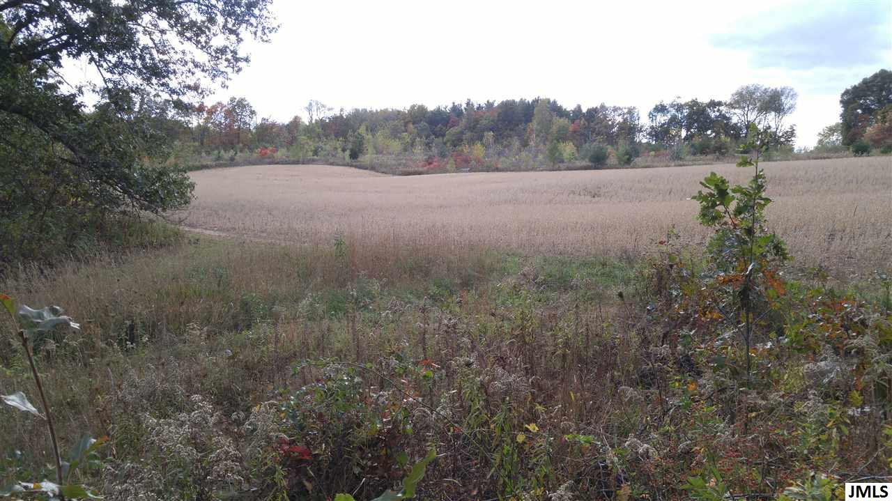 Vl Rogers Road Parma, MI 49269 - Photo 7 of 30 Photo 7