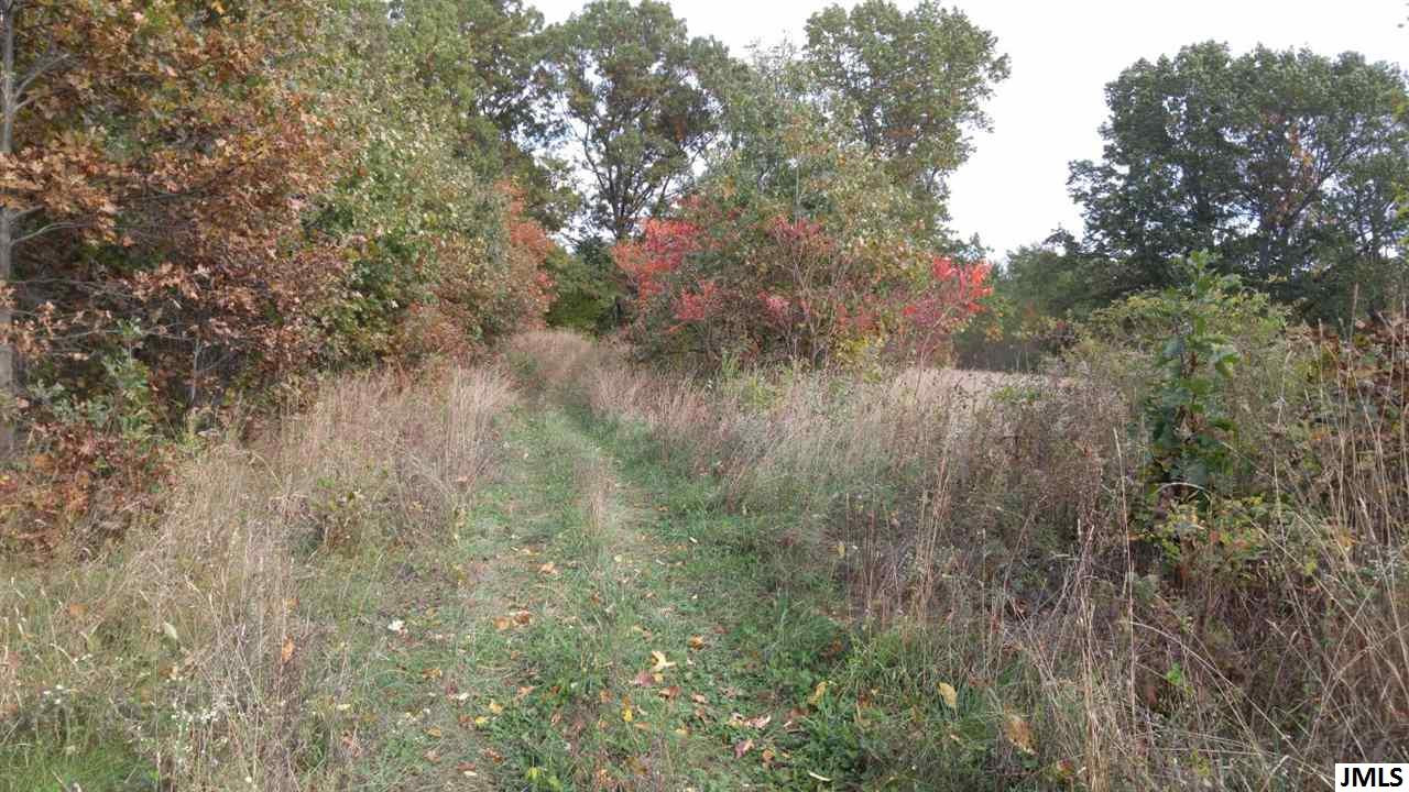 Vl Rogers Road Parma, MI 49269 - Photo 10 of 30 Photo 10